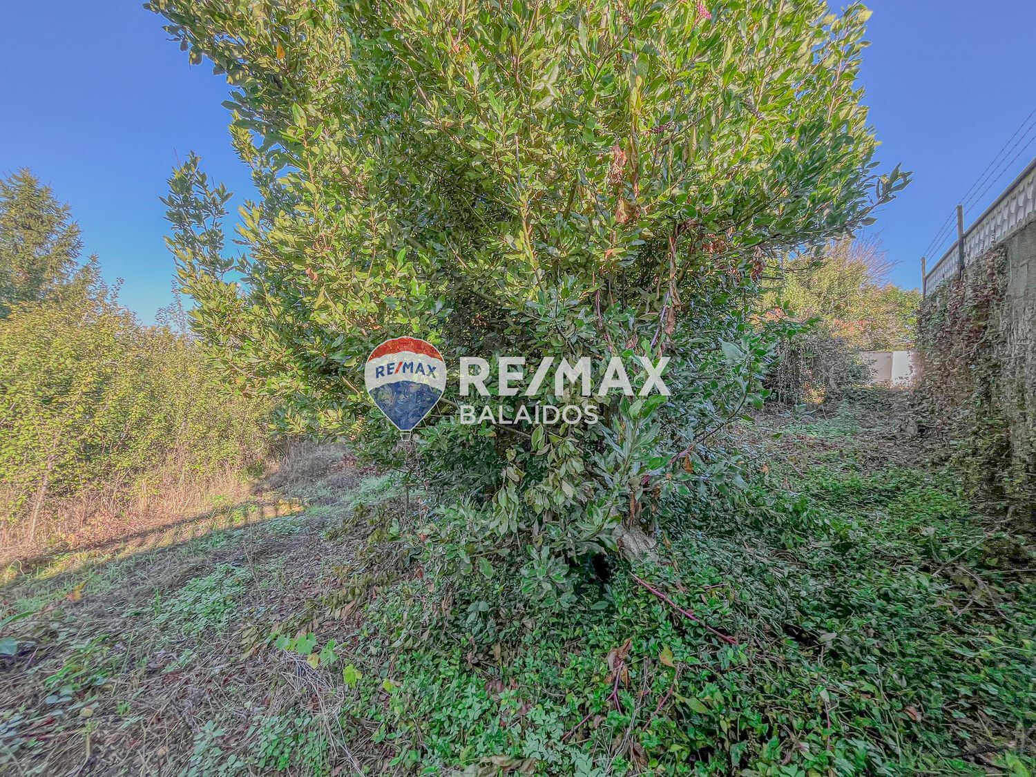 Propiedad en venta en Pontevedra, Vigo