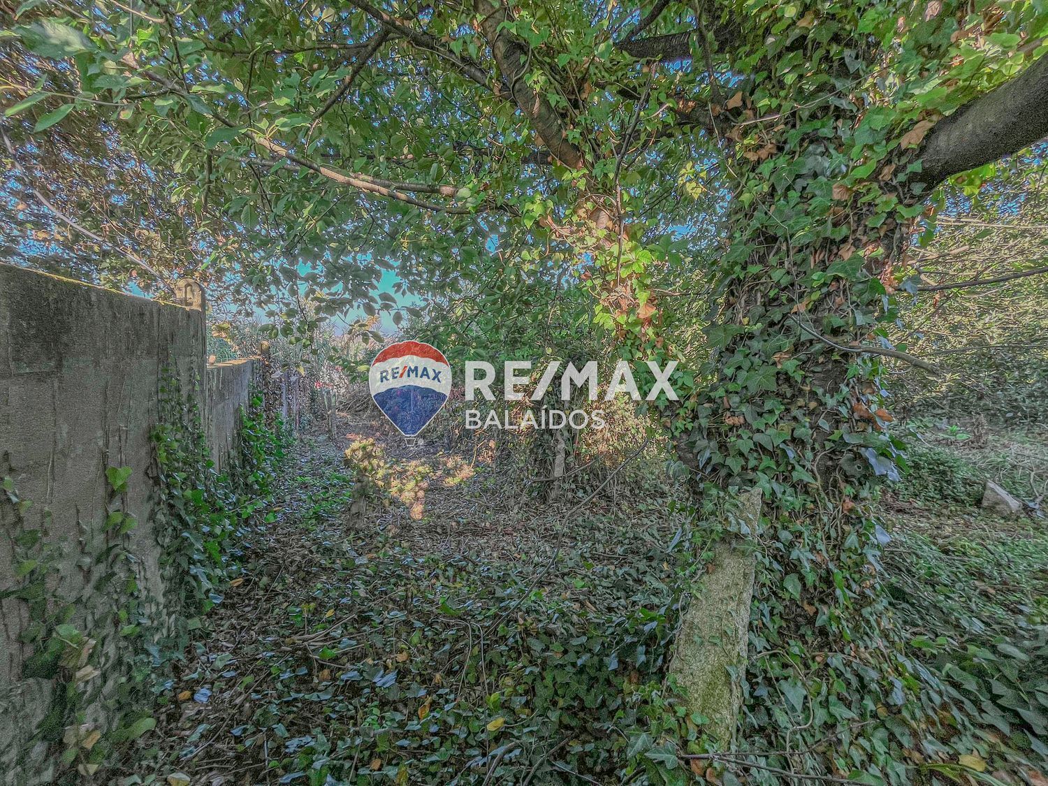 Propiedad en venta en Pontevedra, Vigo