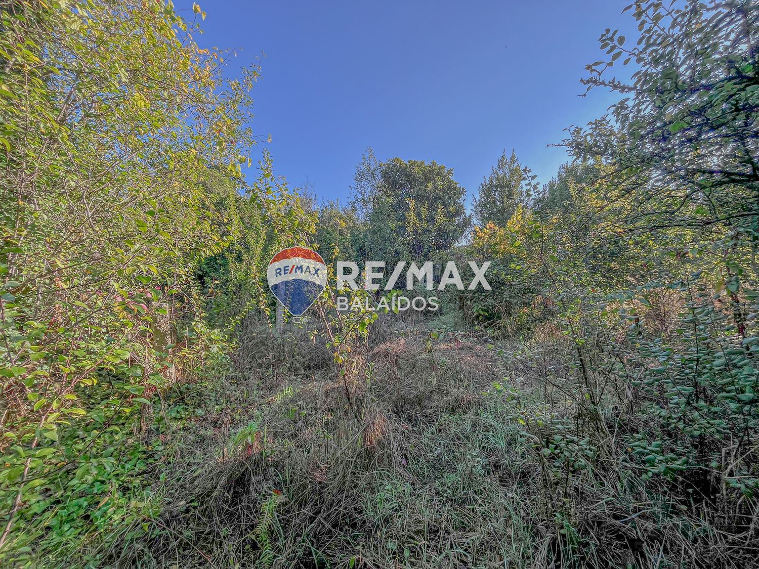 Propiedad en venta en Pontevedra, Vigo