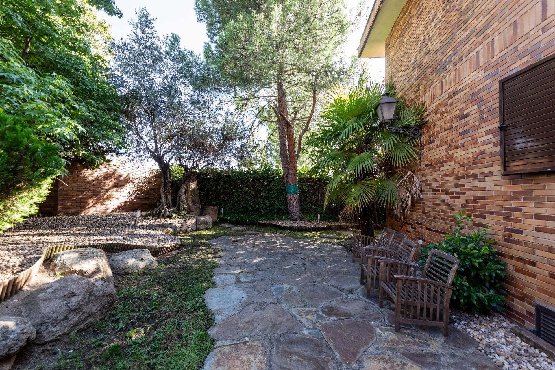 Pisos-Alquiler-Las Rozas de Madrid-1866490-Foto-9