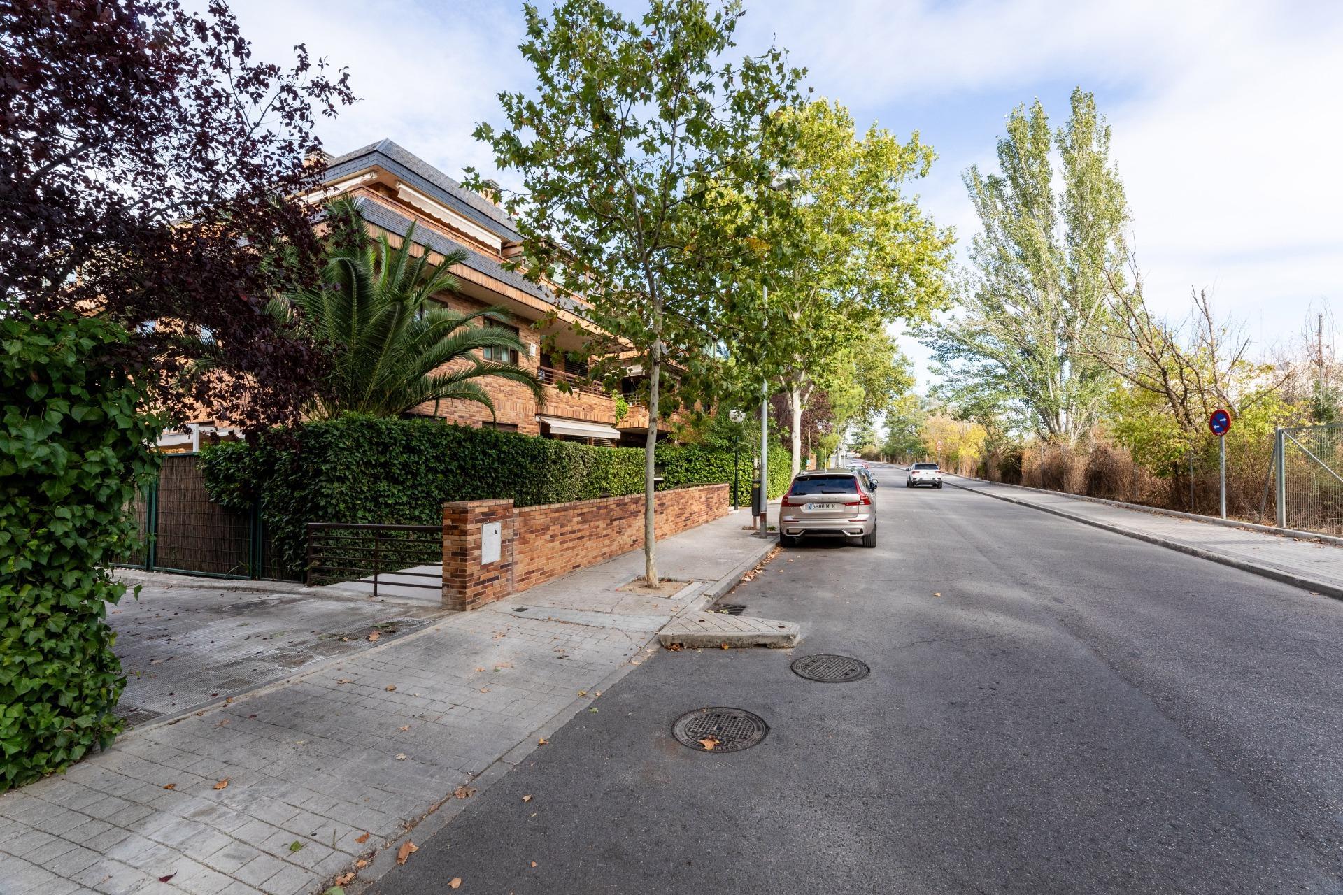 Pisos-Alquiler-Las Rozas de Madrid-1866490-Foto-20