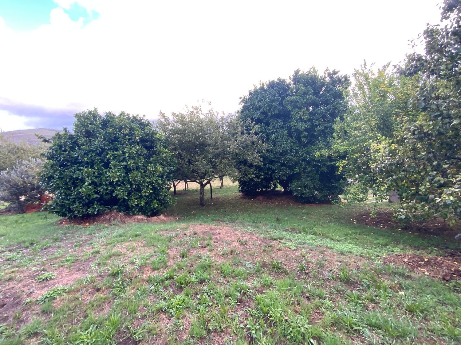 Casas o chalets-Venta-CoaÃ±a-1866502-Foto-11