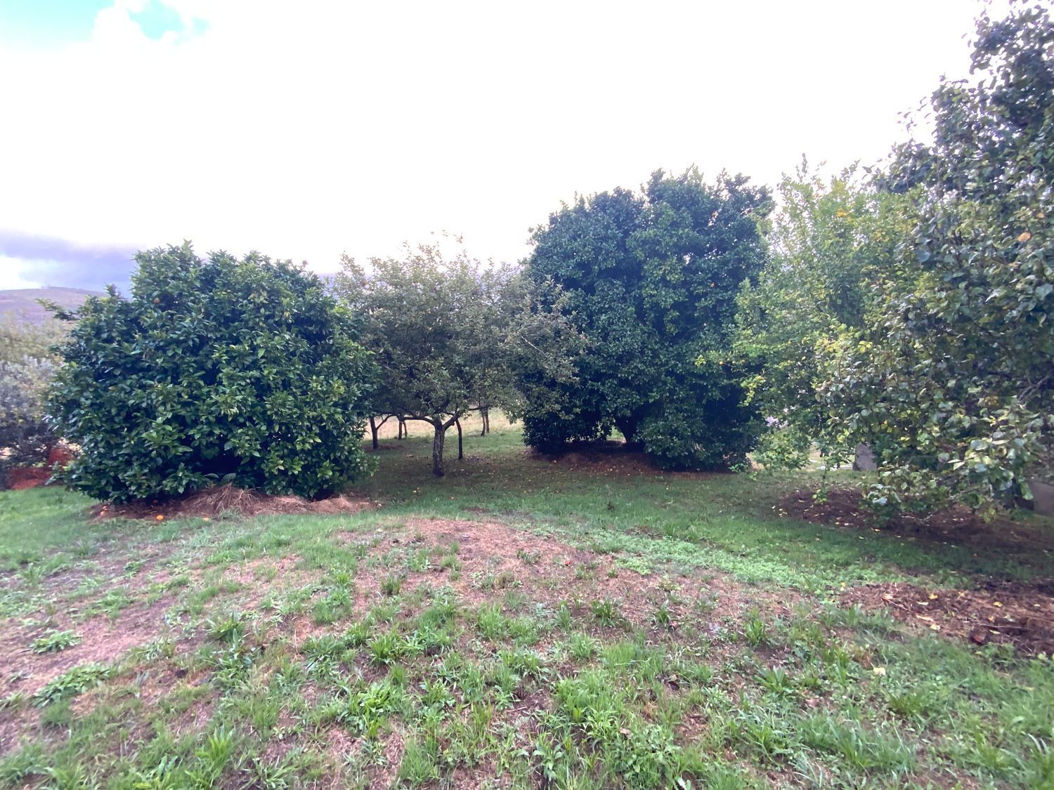 Casas o chalets-Venta-CoaÃ±a-1866502-Foto-10