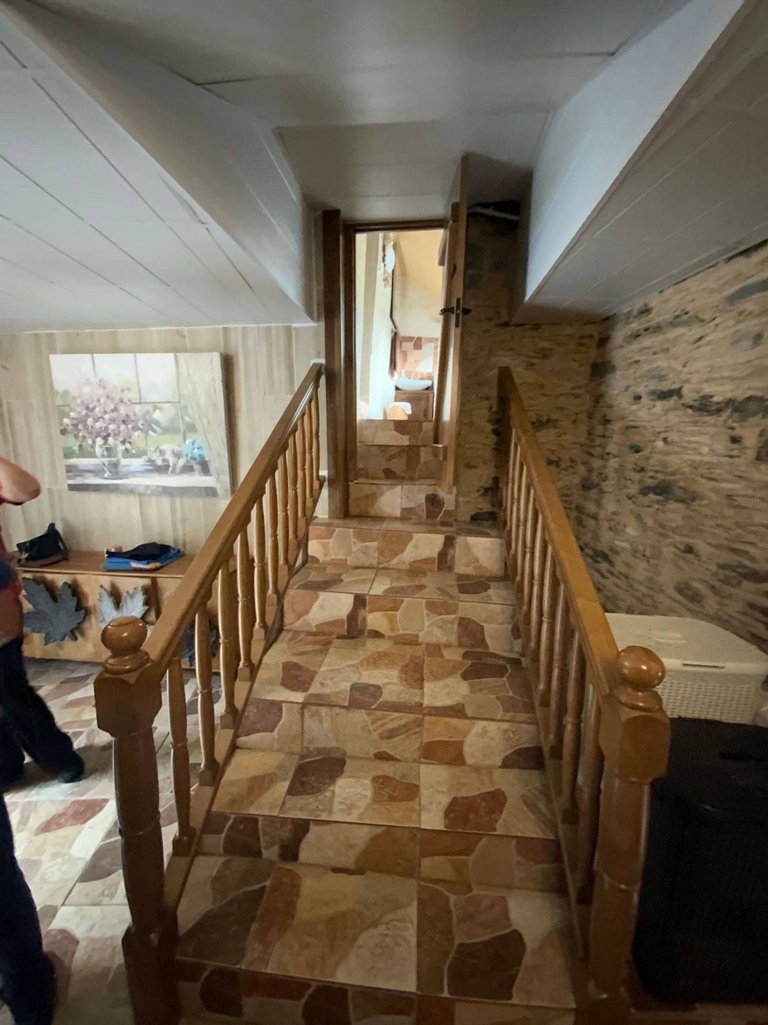 Casas o chalets-Venta-CoaÃ±a-1866502-Foto-21