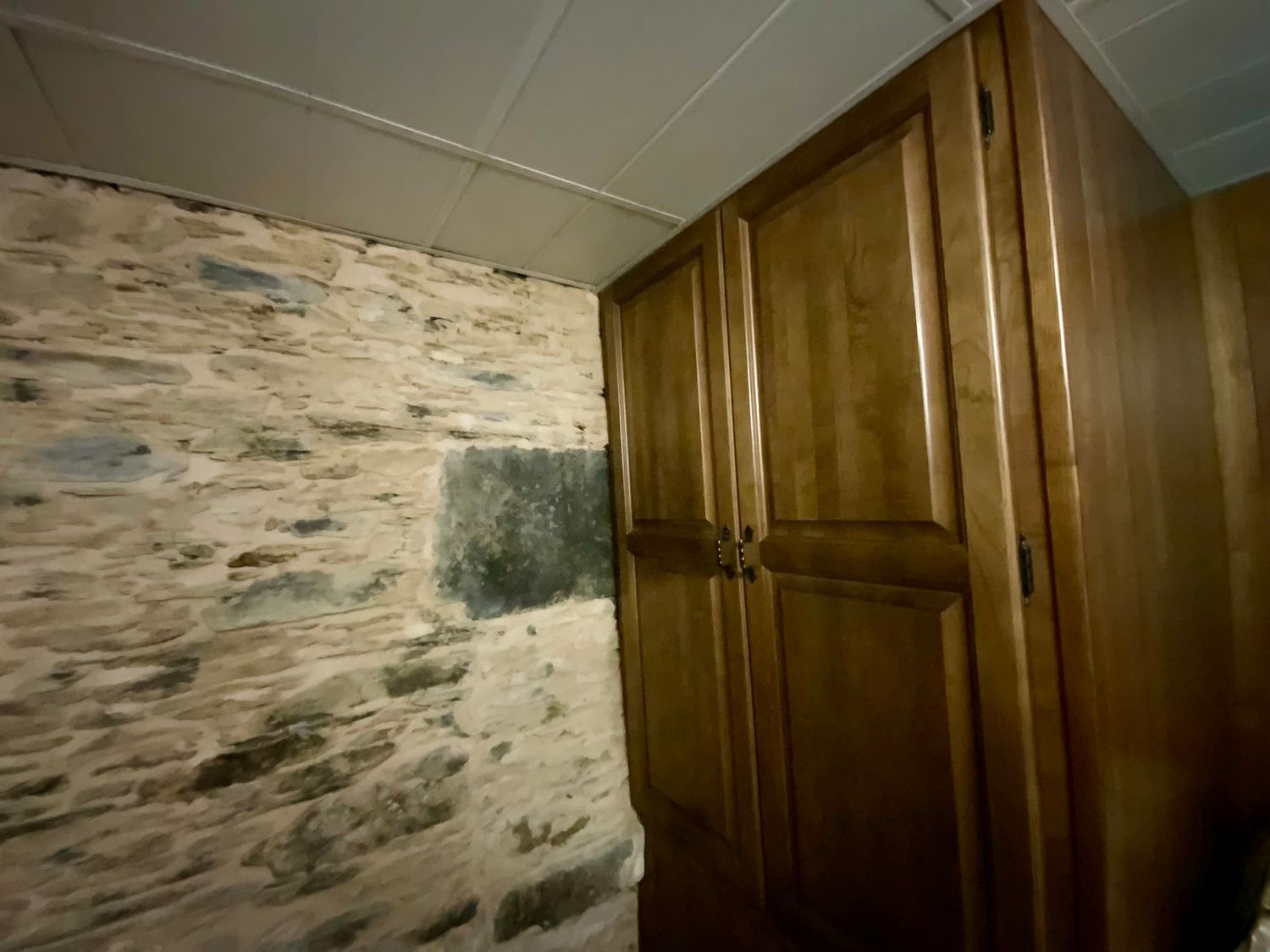 Casas o chalets-Venta-CoaÃ±a-1866502-Foto-24