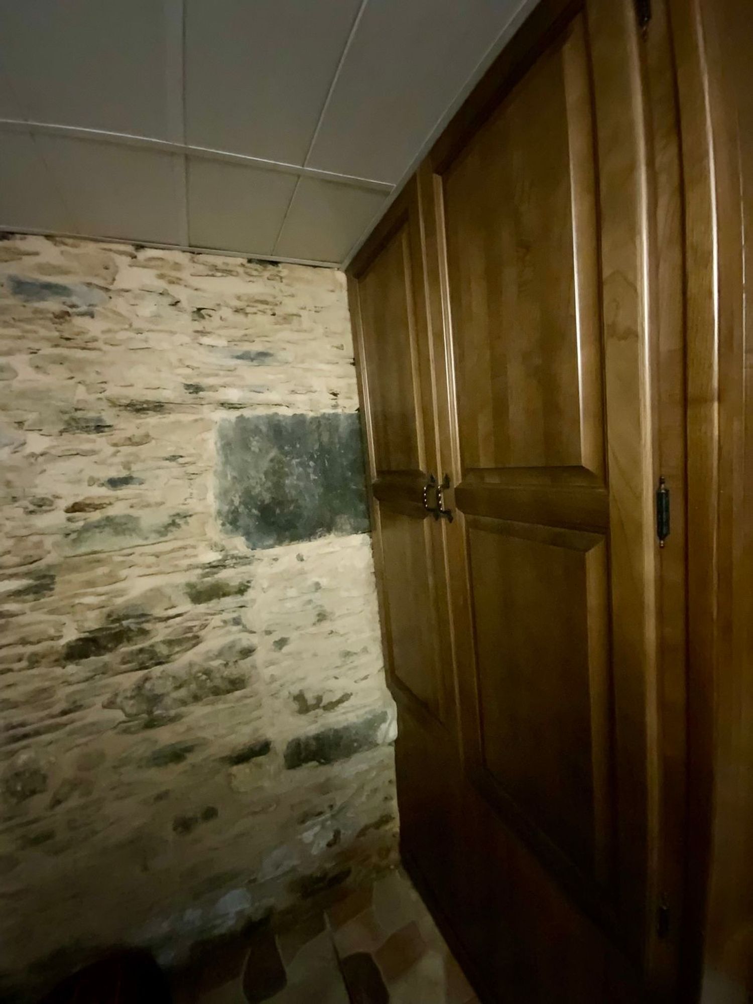 Casas o chalets-Venta-CoaÃ±a-1866502-Foto-23