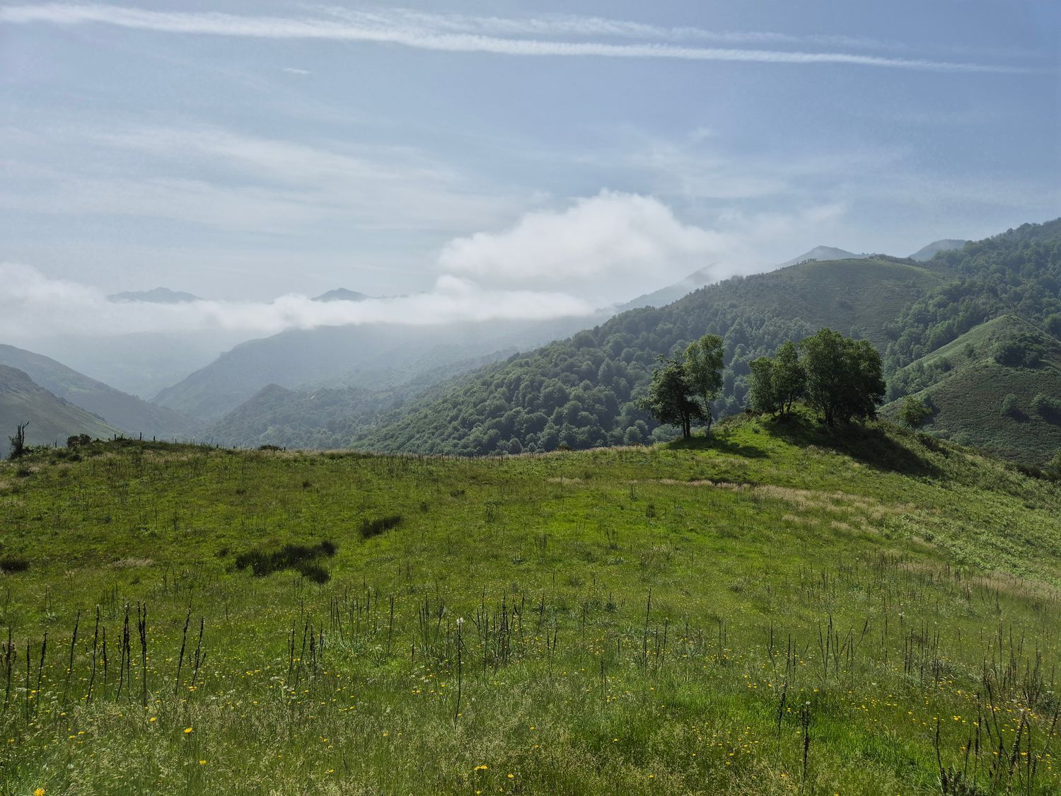 Casas o chalets-Venta-Las Navas del Marqués-1747628-Foto-8