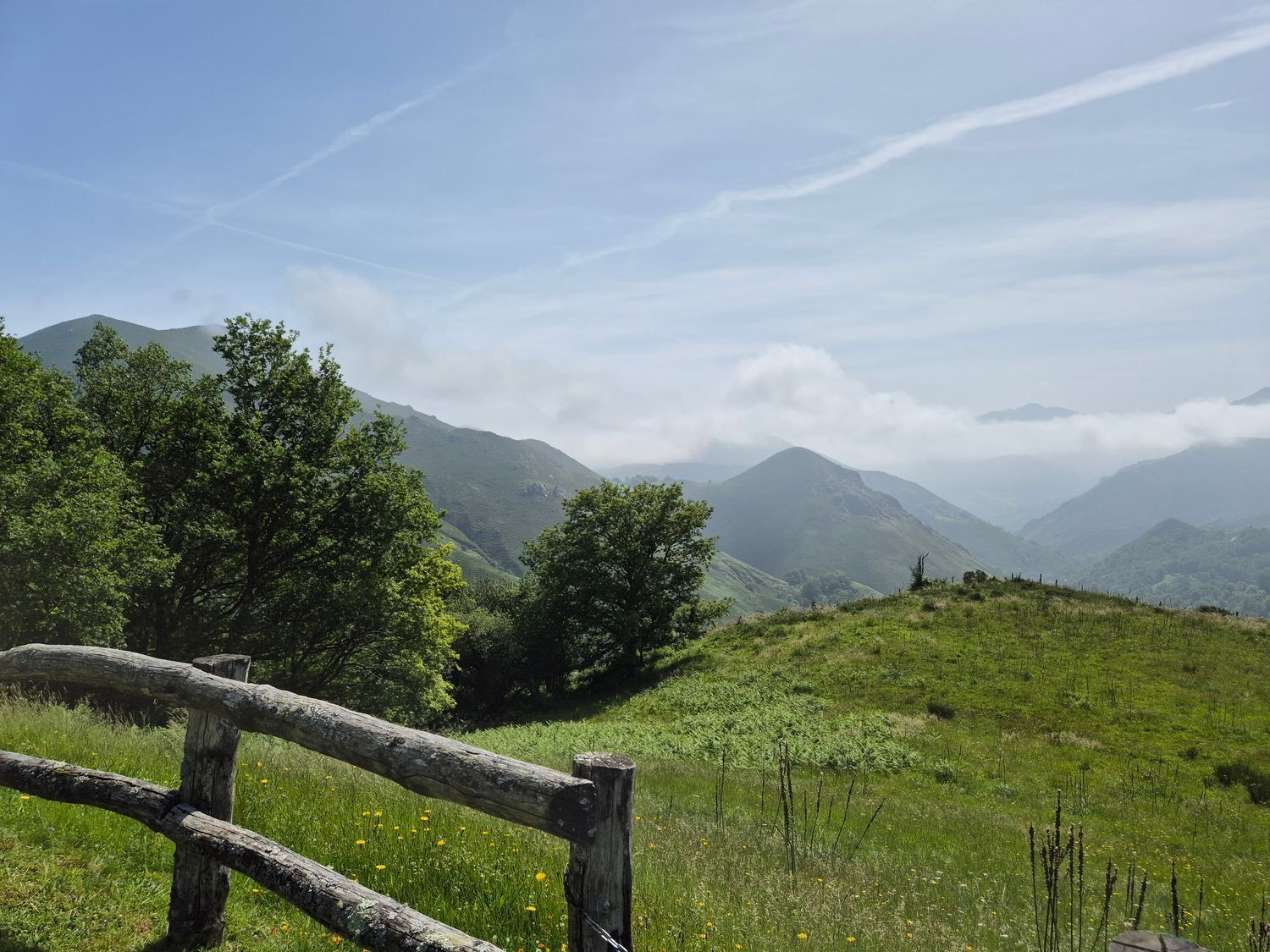 Casas o chalets-Venta-Las Navas del Marqués-1747628-Foto-9