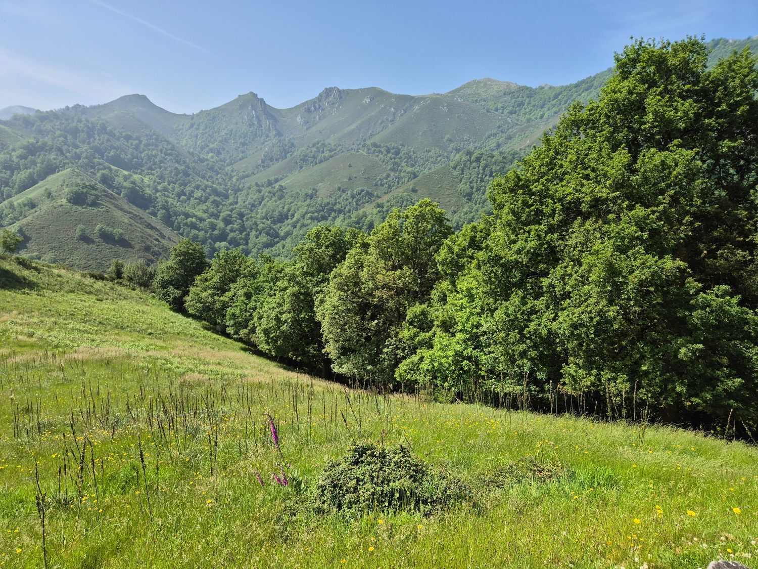 Casas o chalets-Venta-Las Navas del Marqués-1747628-Foto-7