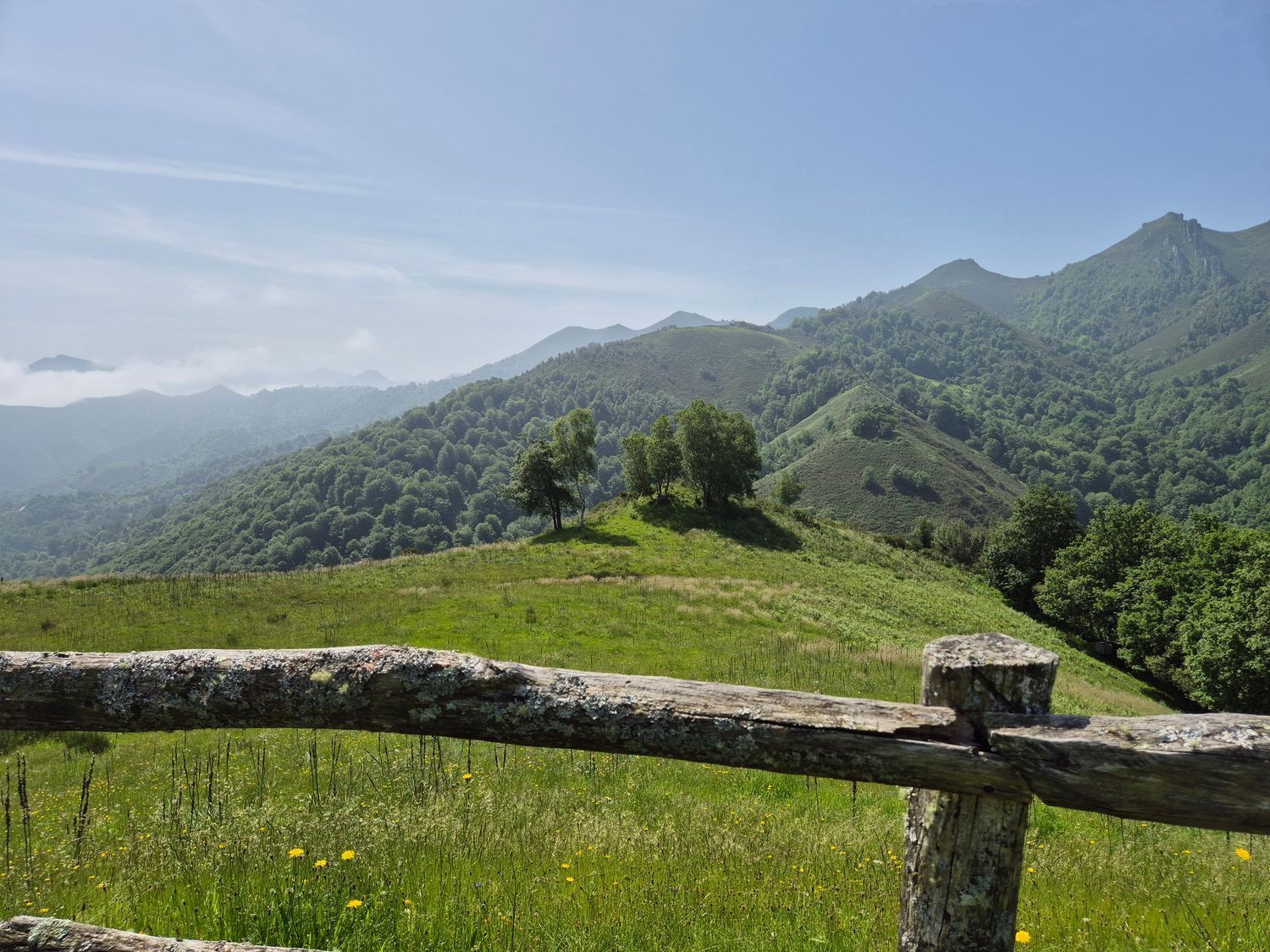 Casas o chalets-Venta-Las Navas del Marqués-1747628-Foto-36