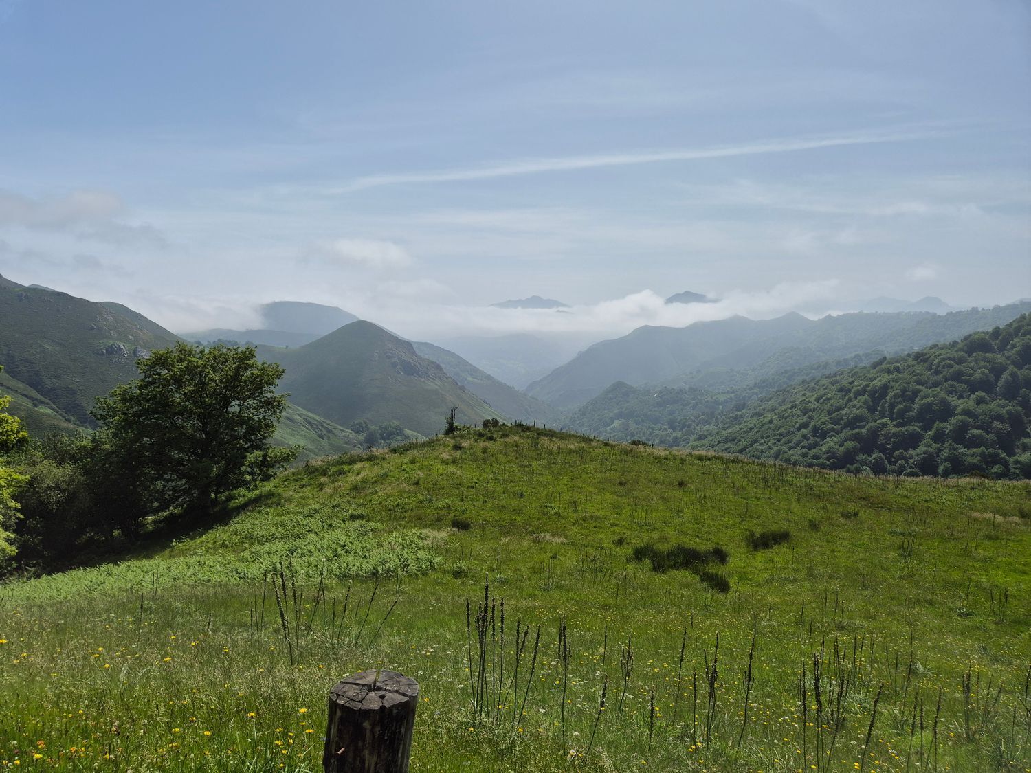 Casas o chalets-Venta-Las Navas del Marqués-1747628-Foto-35