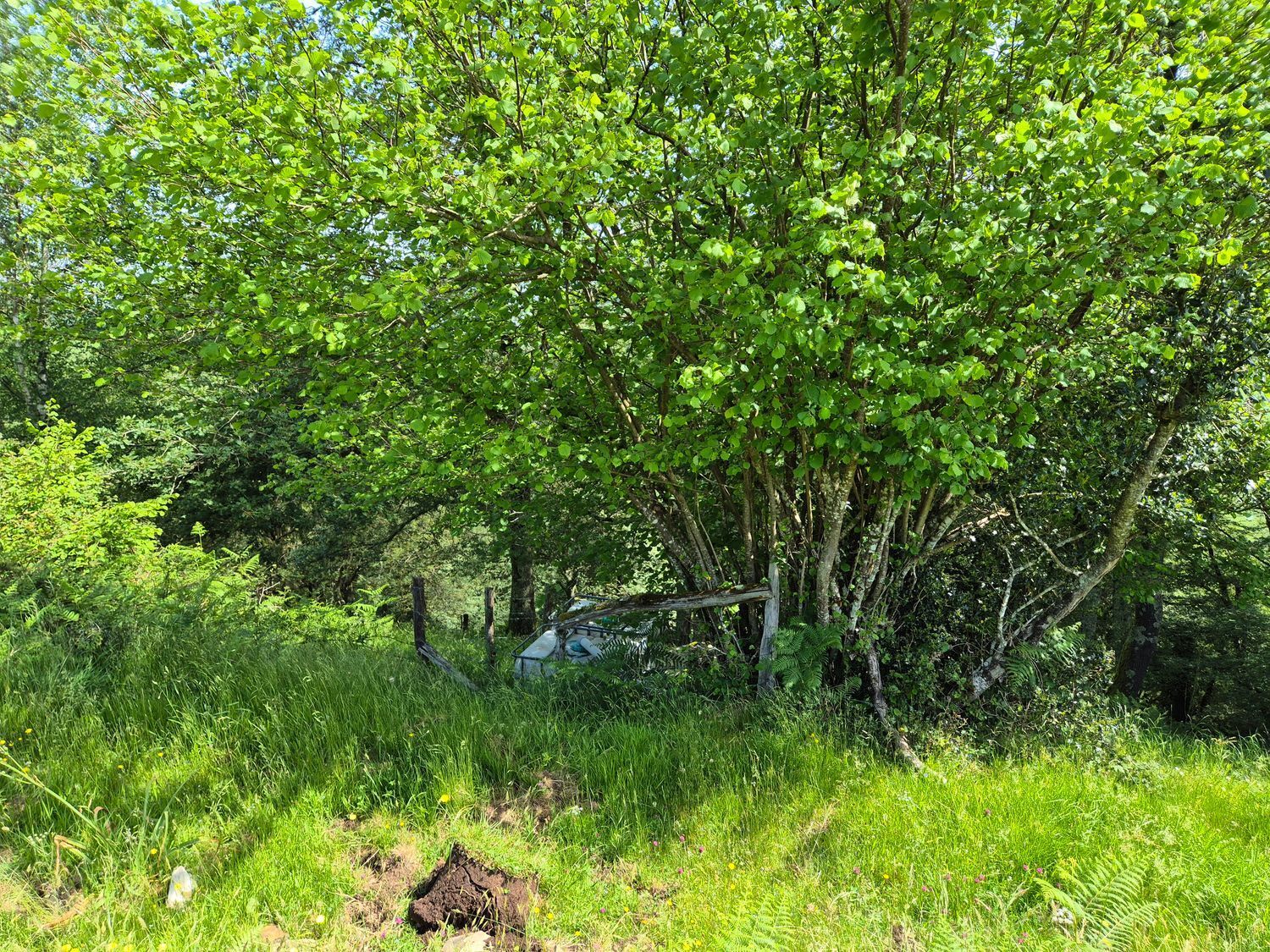 Casas o chalets-Venta-Las Navas del Marqués-1747628-Foto-38