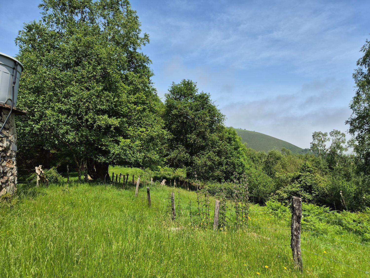 Casas o chalets-Venta-Las Navas del Marqués-1747628-Foto-50