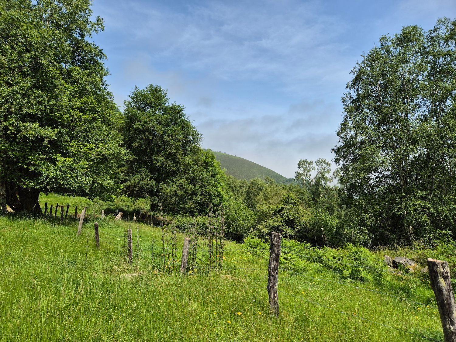 Casas o chalets-Venta-Las Navas del Marqués-1747628-Foto-51