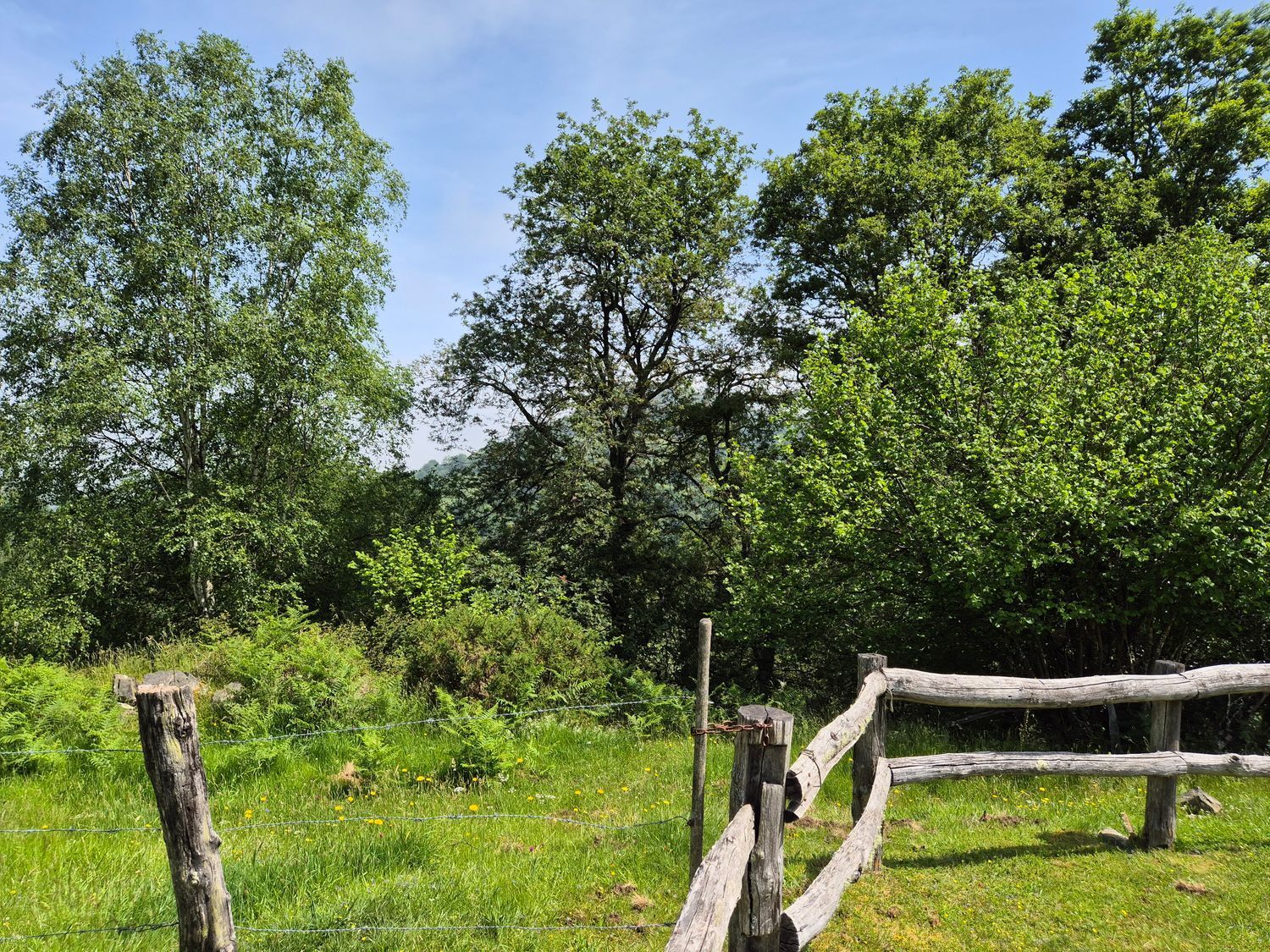 Casas o chalets-Venta-Las Navas del Marqués-1747628-Foto-52