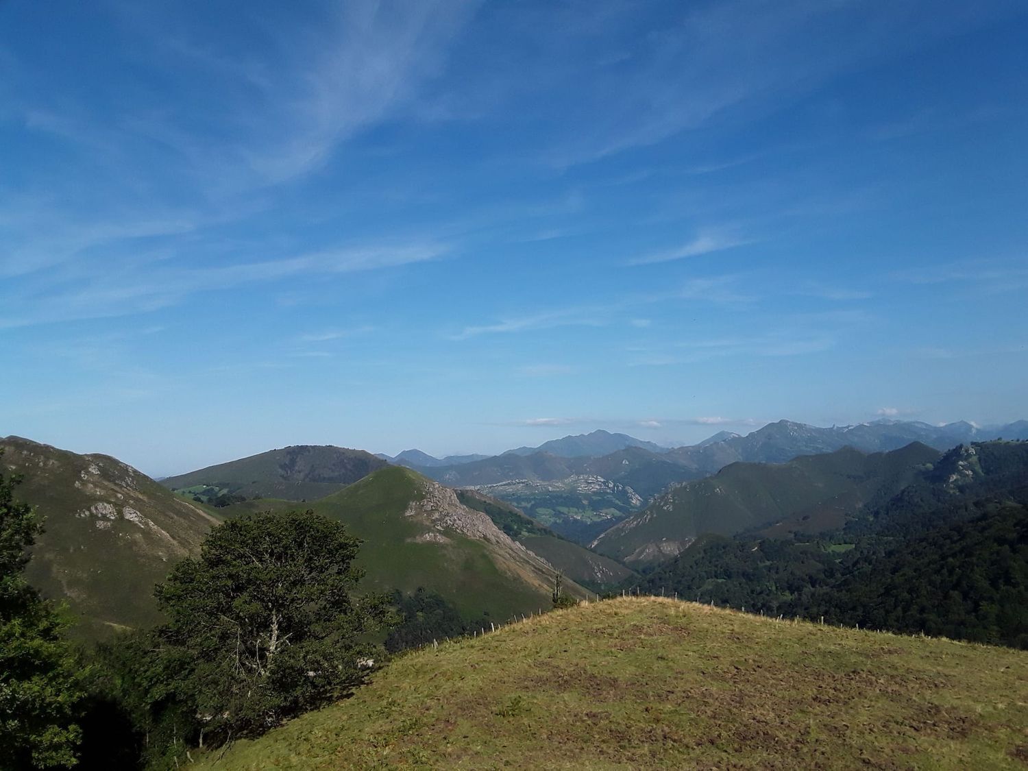 Casas o chalets-Venta-Las Navas del Marqués-1747628-Foto-56