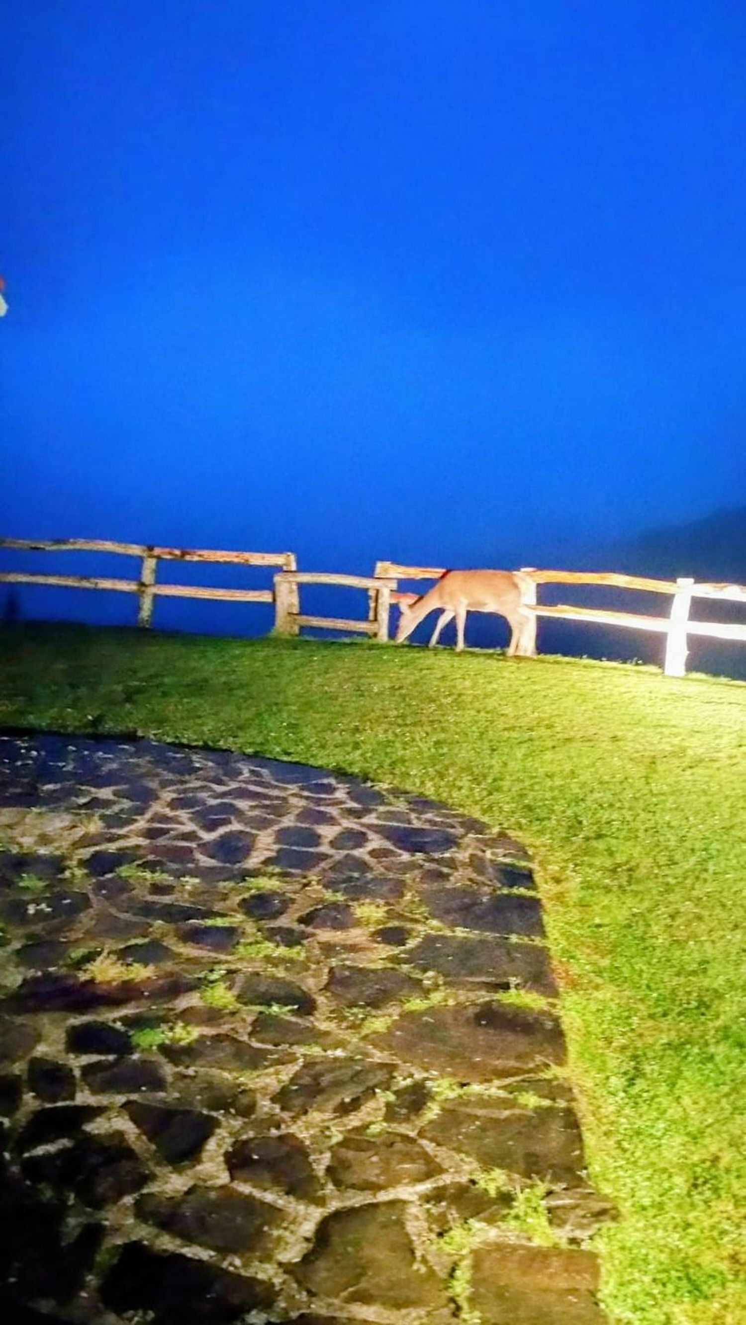 Casas o chalets-Venta-Las Navas del Marqués-1747628-Foto-55