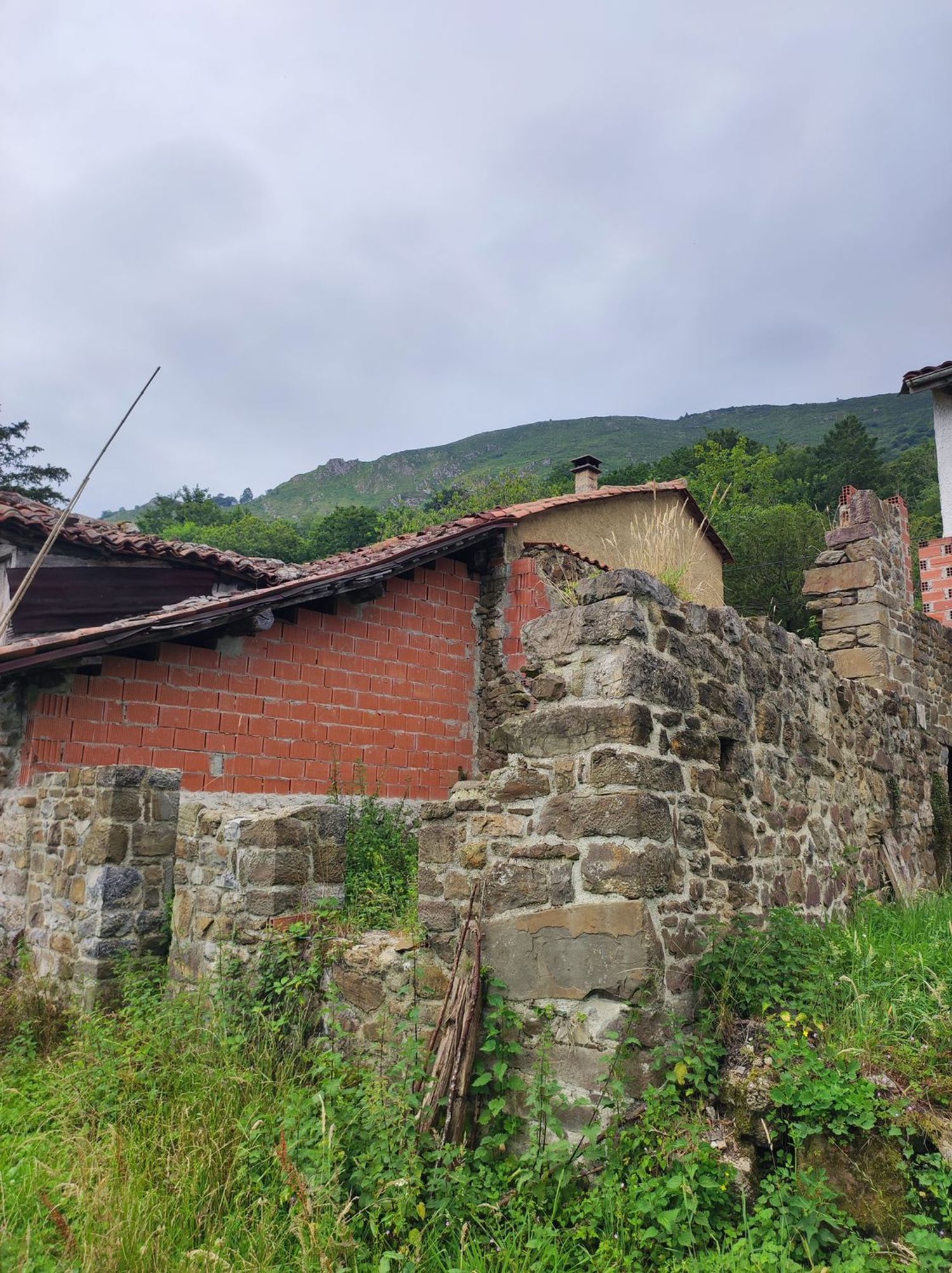 Casas o chalets-Venta-Parres-1766657-Foto-11