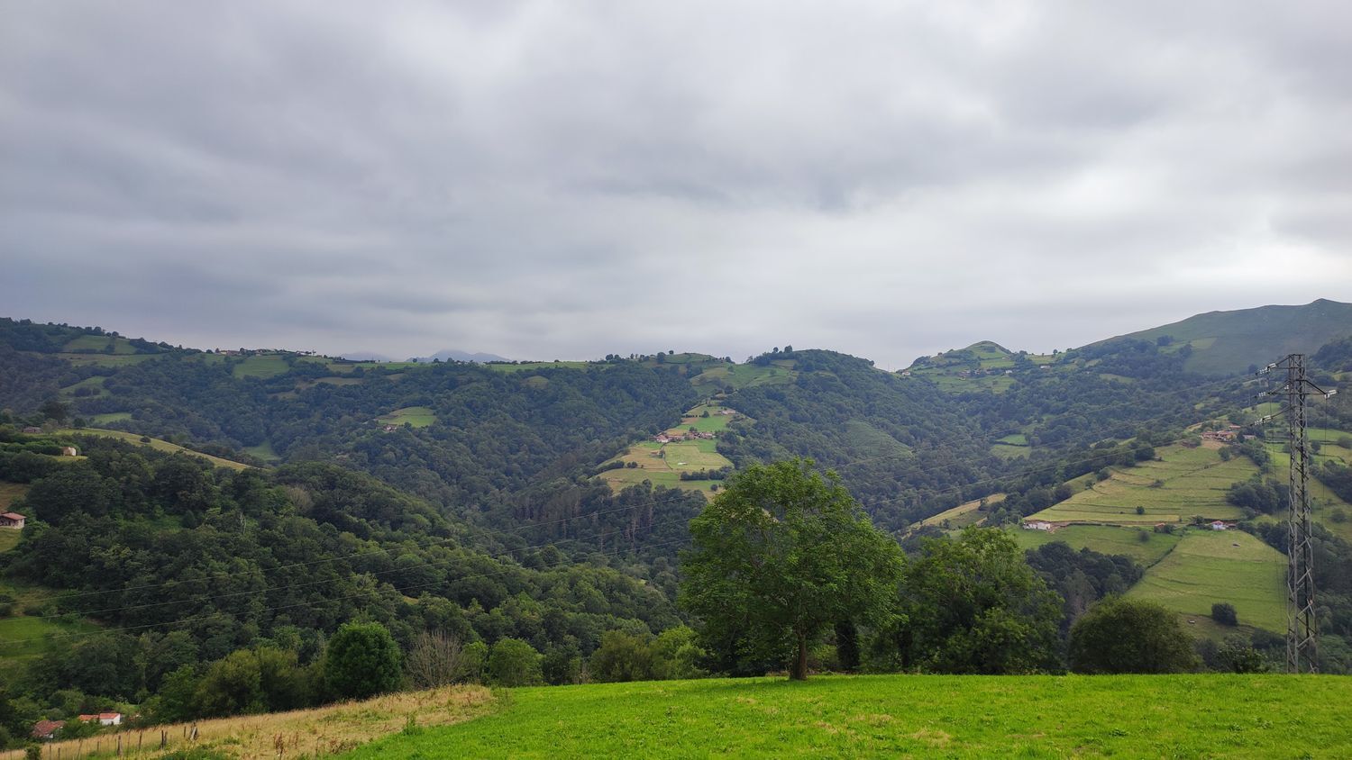 Casas o chalets-Venta-Parres-1766657-Foto-20