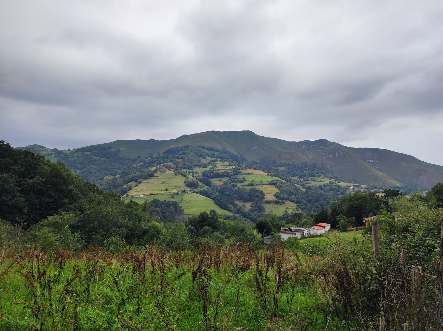 Casas o chalets-Venta-Parres-1766657-Foto-19