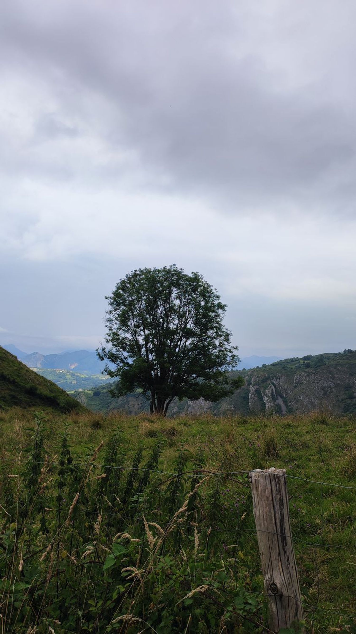 Casas o chalets-Venta-Parres-1766657-Foto-22