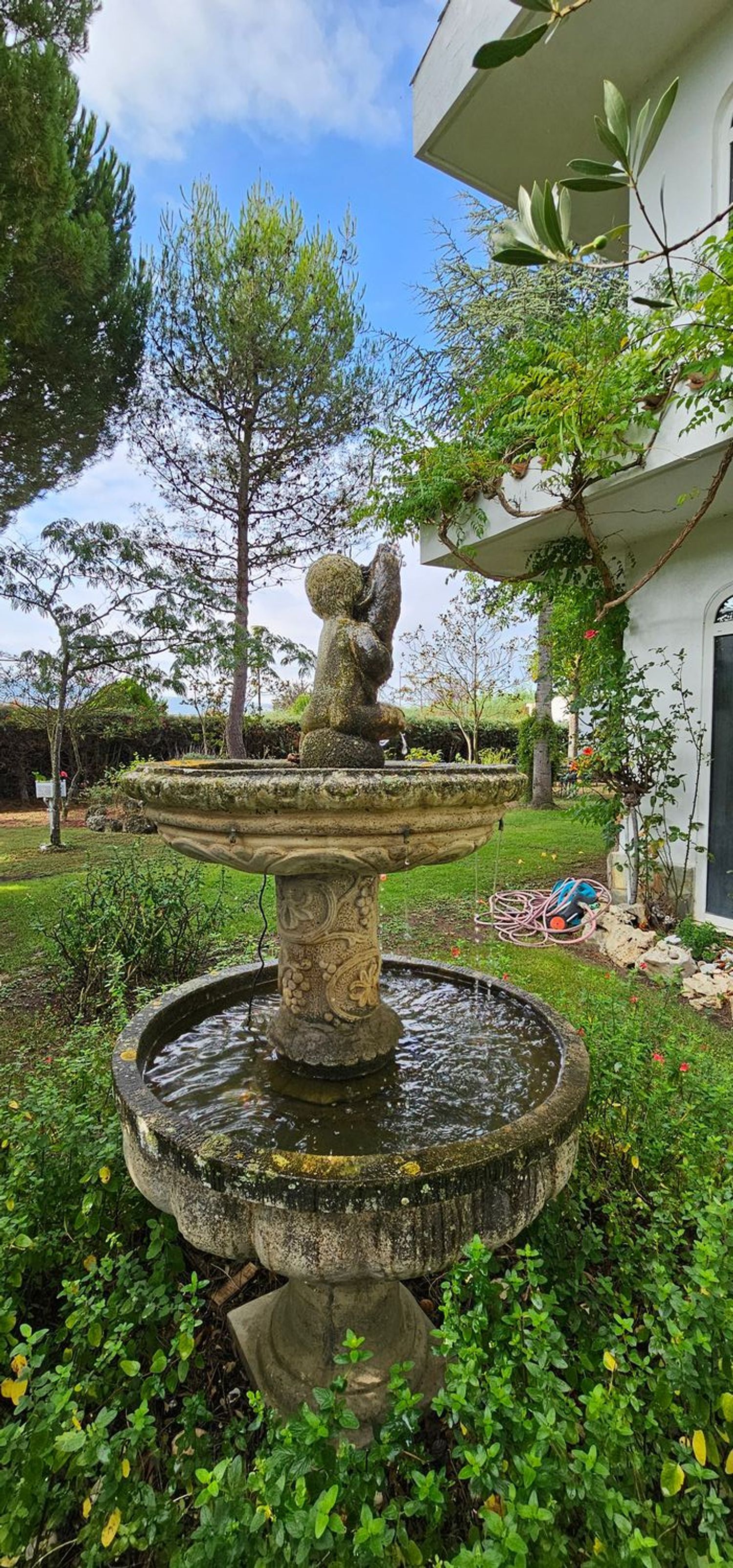 Casas o chalets-Venta-Cizur-1866520-Foto-8