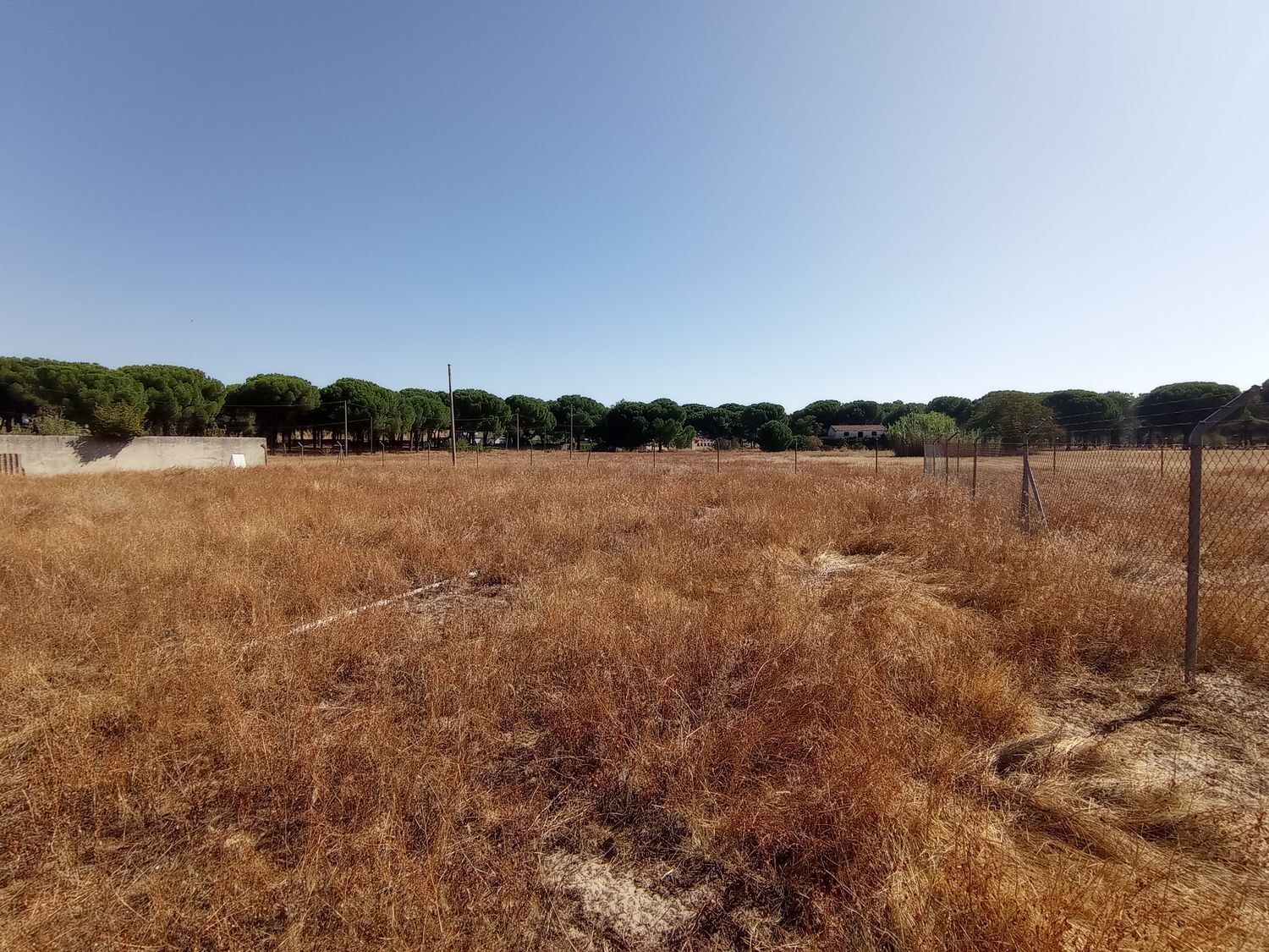 Fincas y solares-Venta-1846038