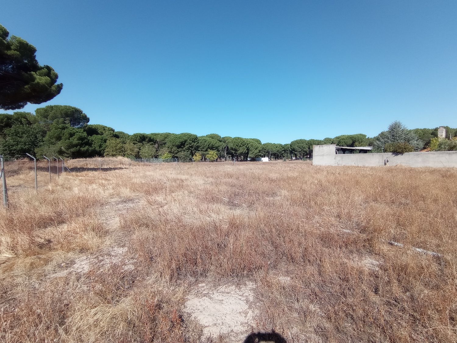Fincas y solares-Venta-Laguna de Duero-1846038-Foto-2