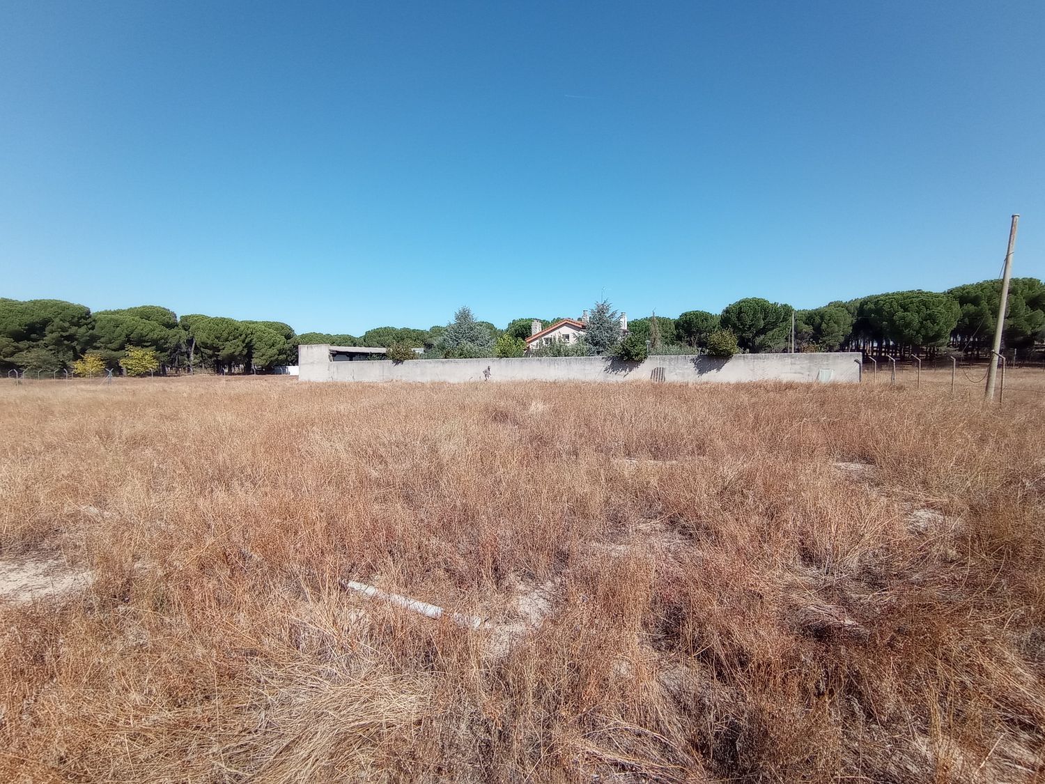 Fincas y solares-Venta-Laguna de Duero-1846038-Foto-3