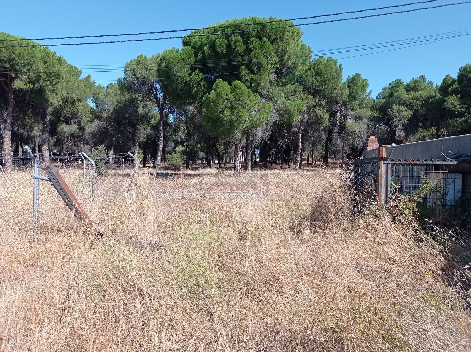 Fincas y solares-Venta-Laguna de Duero-1846038-Foto-11