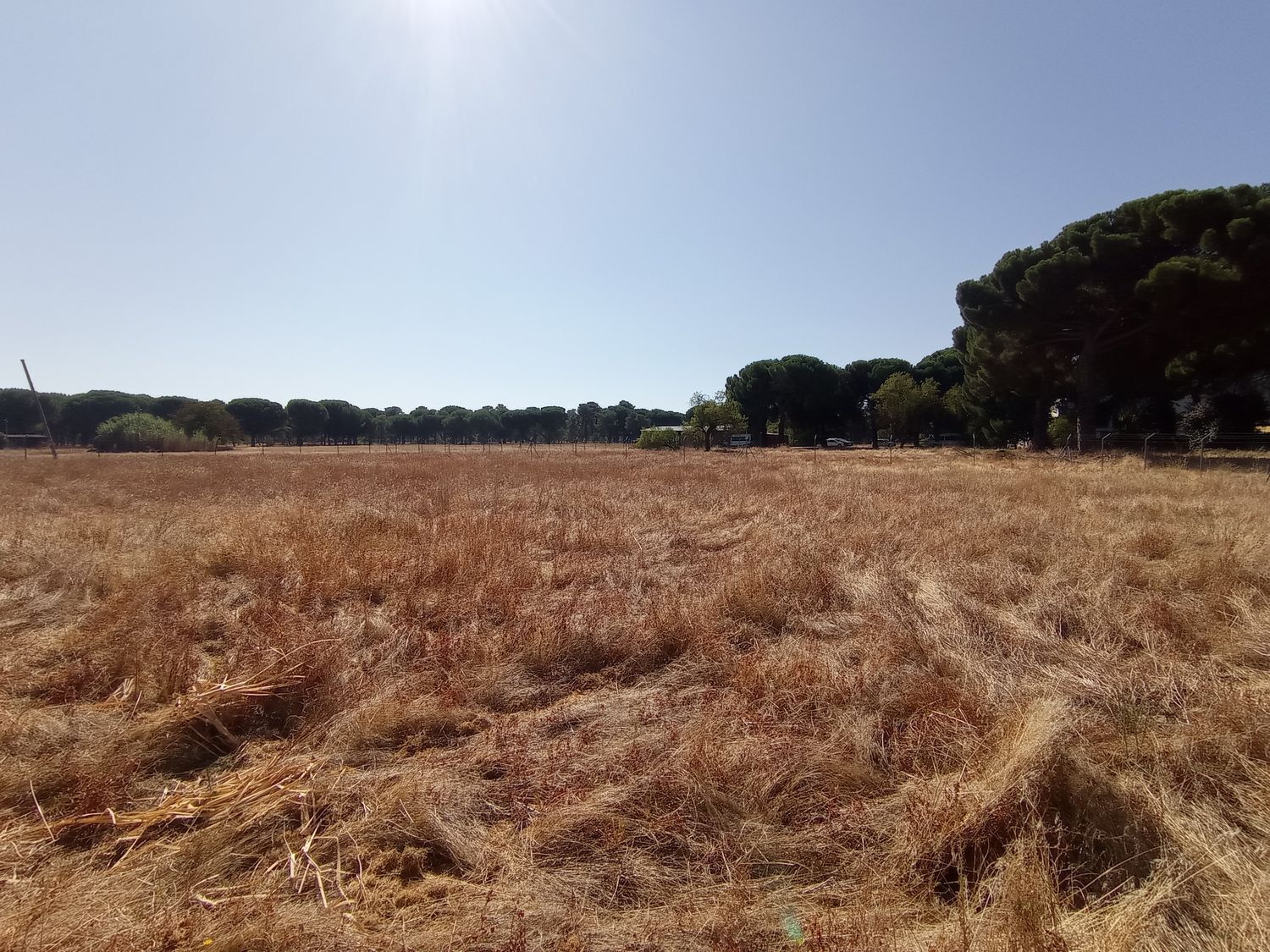 Fincas y solares-Venta-Laguna de Duero-1846038-Foto-8