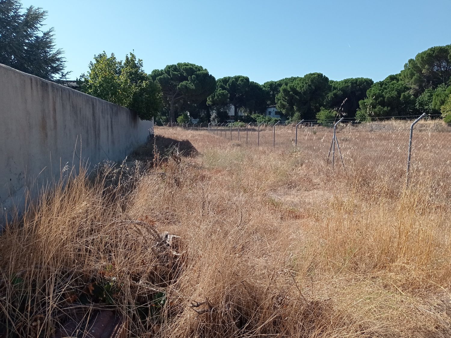 Fincas y solares-Venta-Laguna de Duero-1846038-Foto-10