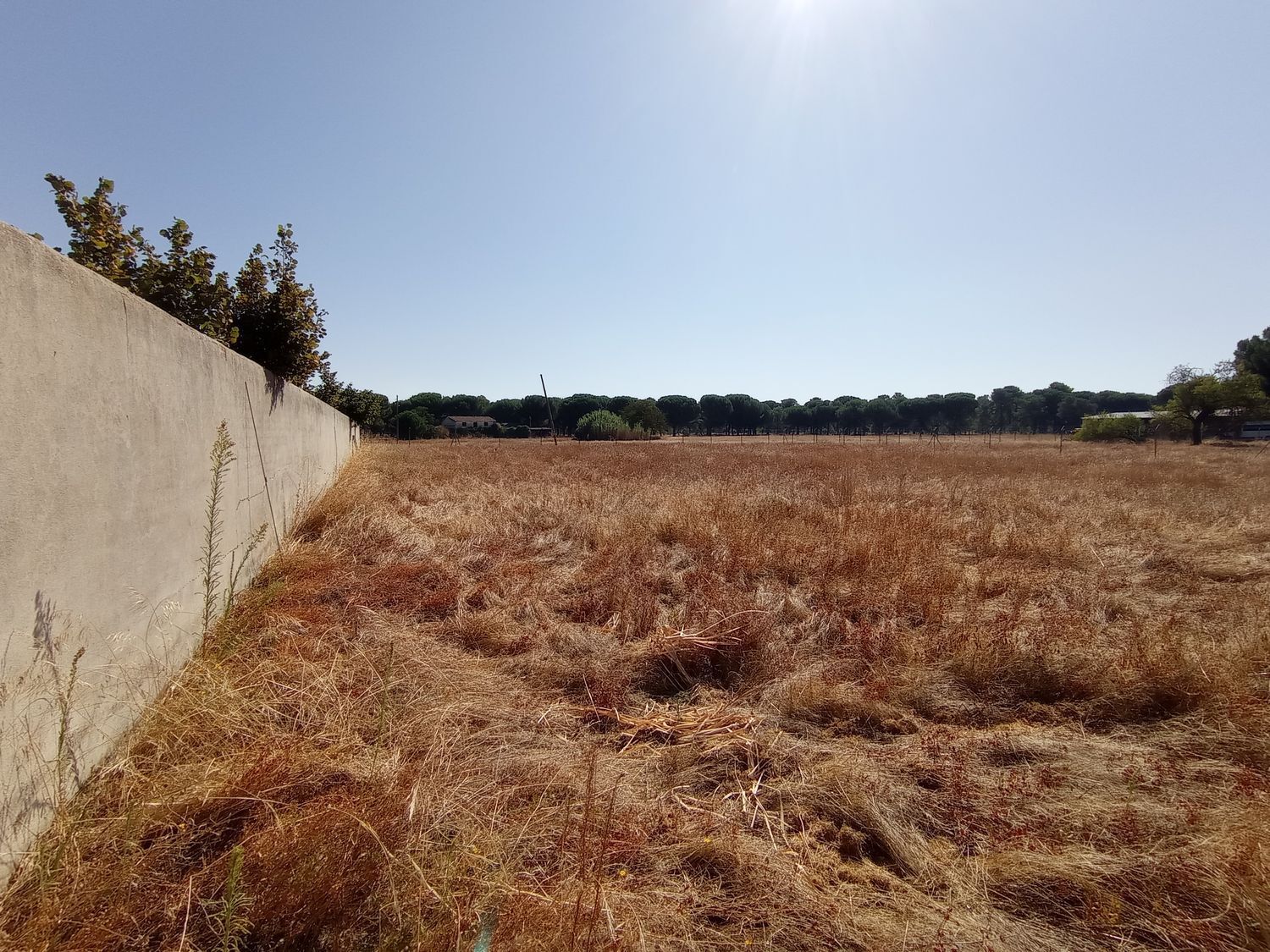 Fincas y solares-Venta-Laguna de Duero-1846038-Foto-9