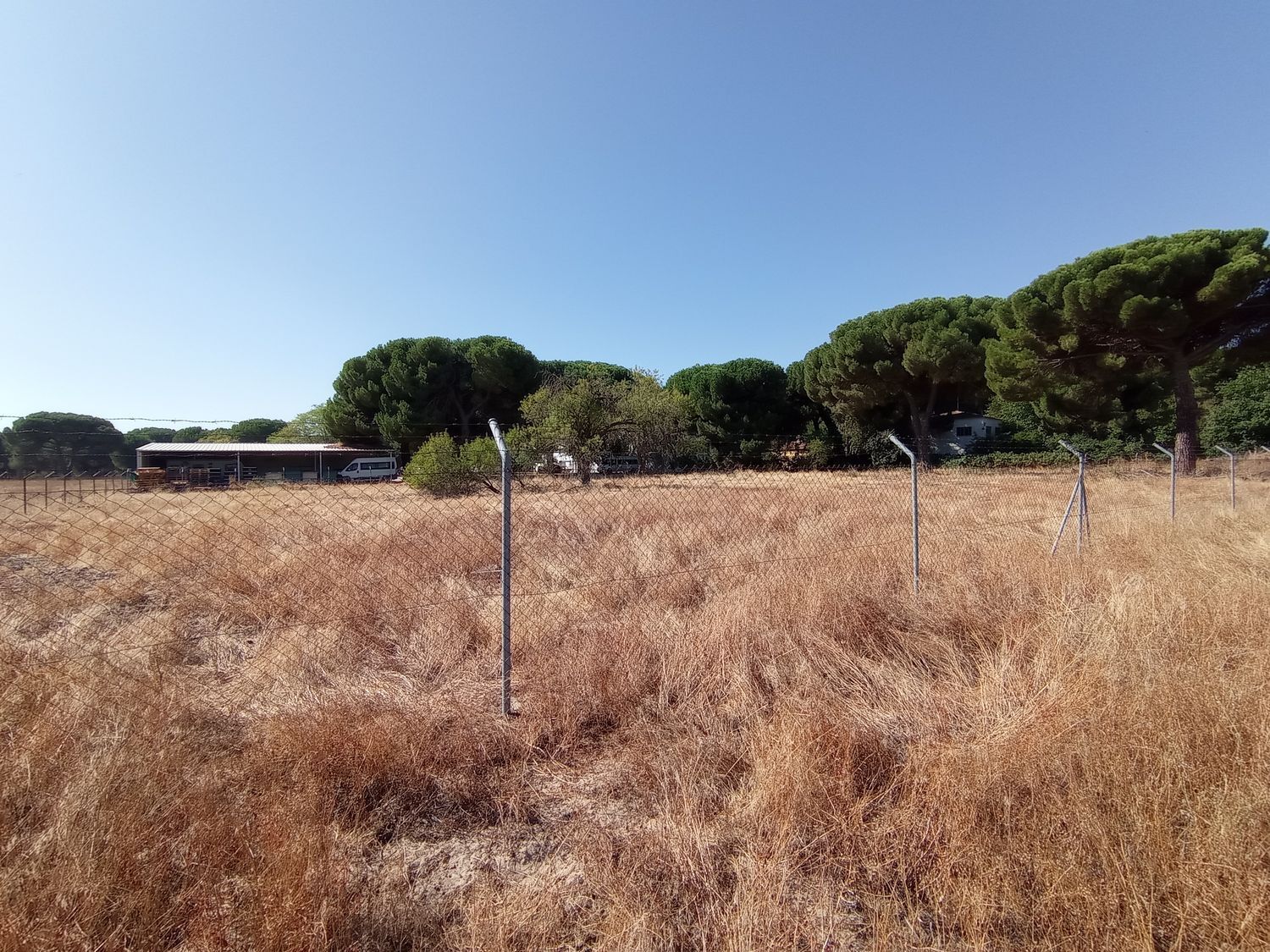 Fincas y solares-Venta-Laguna de Duero-1846038-Foto-7