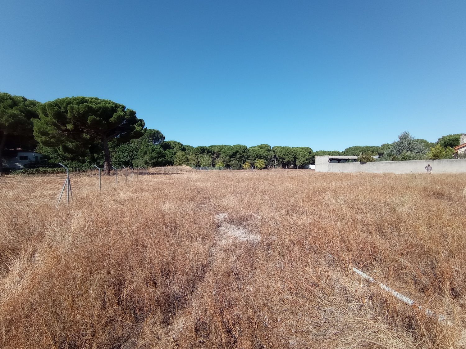 Fincas y solares-Venta-Laguna de Duero-1846038-Foto-6