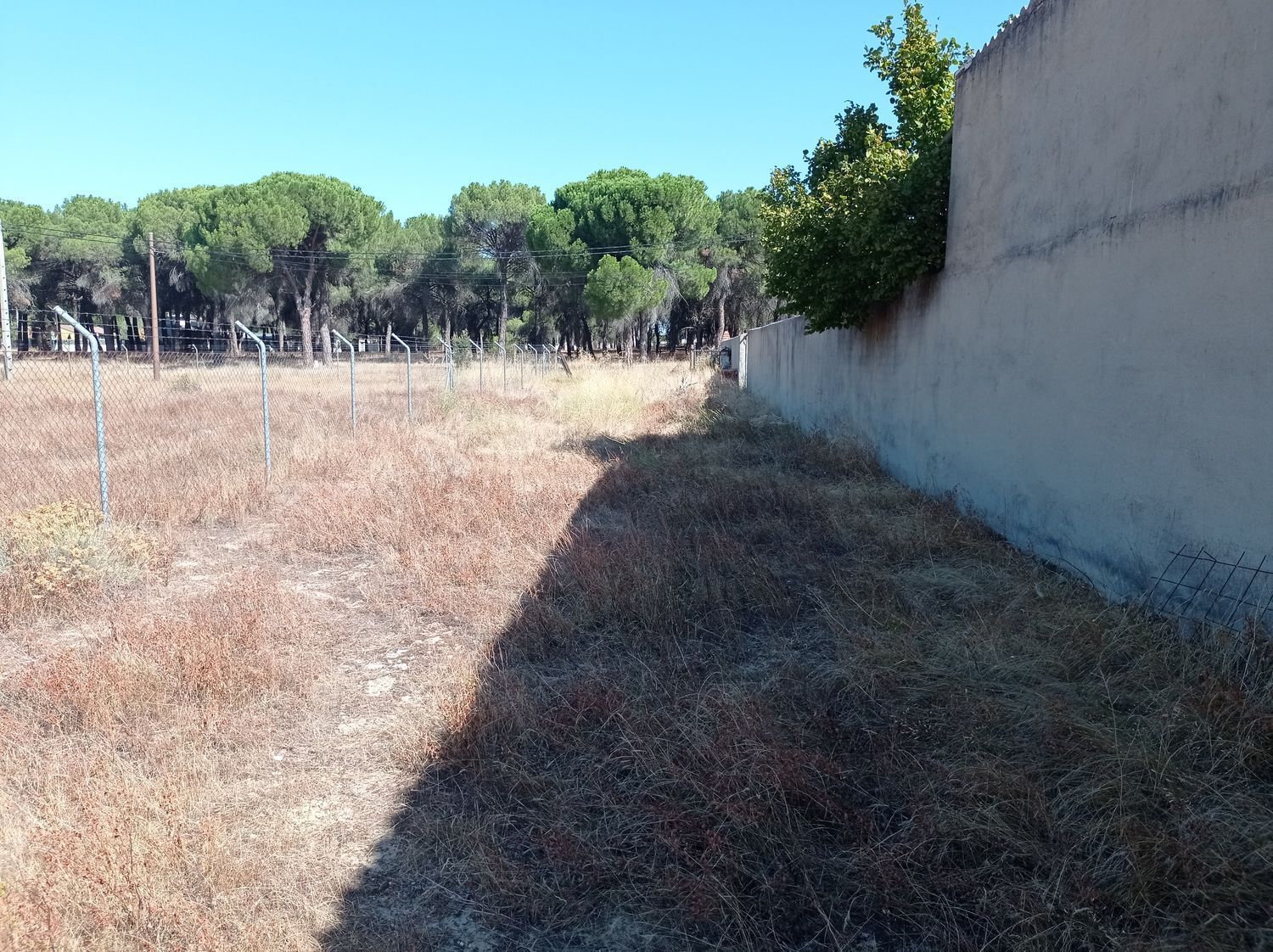 Fincas y solares-Venta-Laguna de Duero-1846038-Foto-12