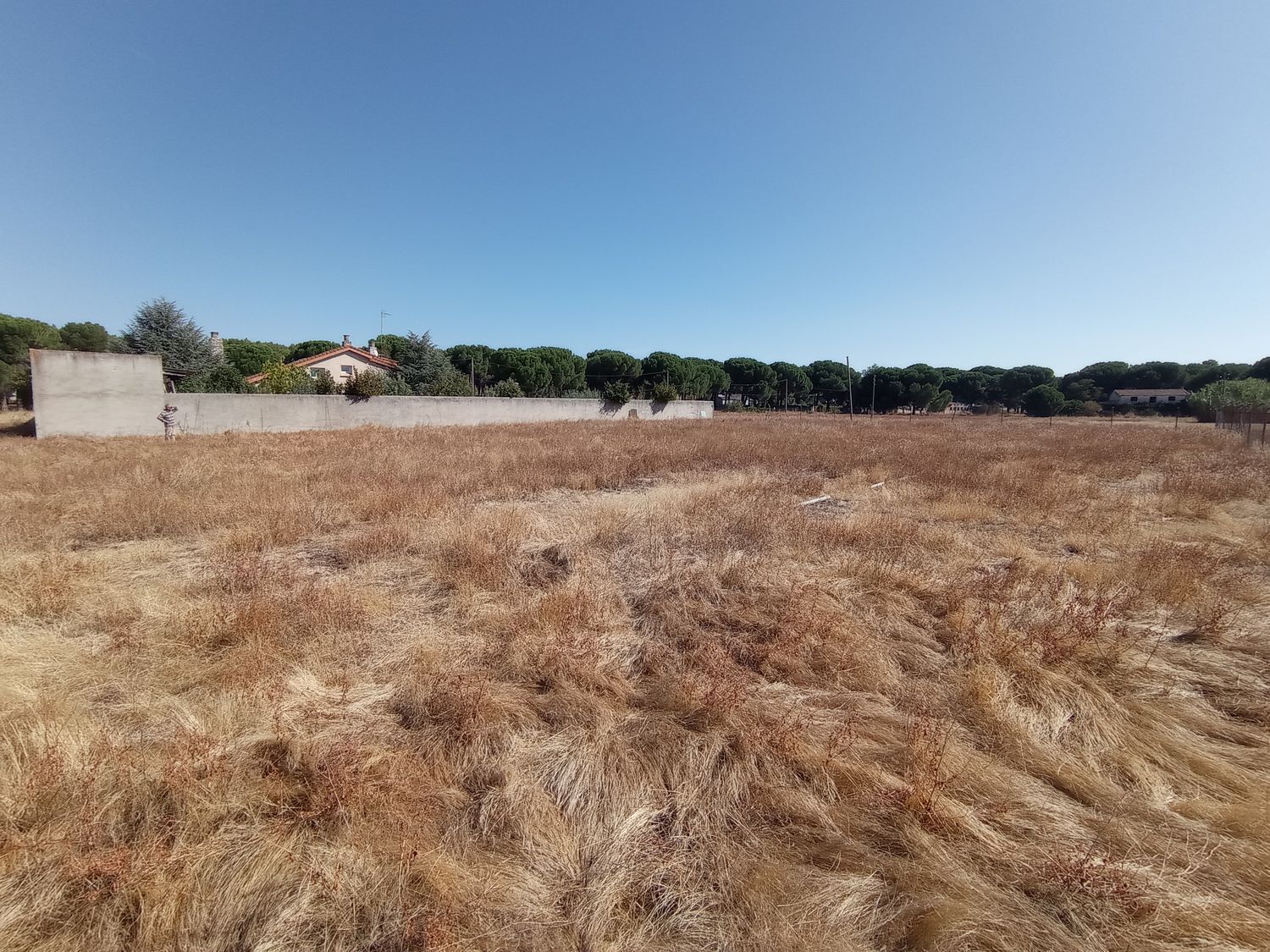 Fincas y solares-Venta-Laguna de Duero-1846038-Foto-16