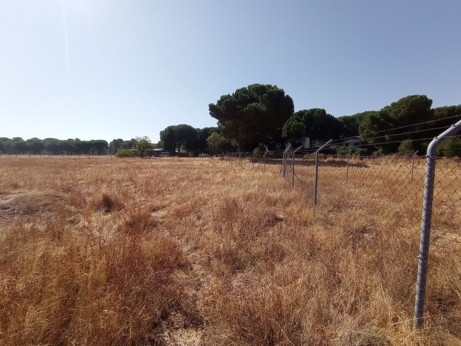 Fincas y solares-Venta-Laguna de Duero-1846038-Foto-14