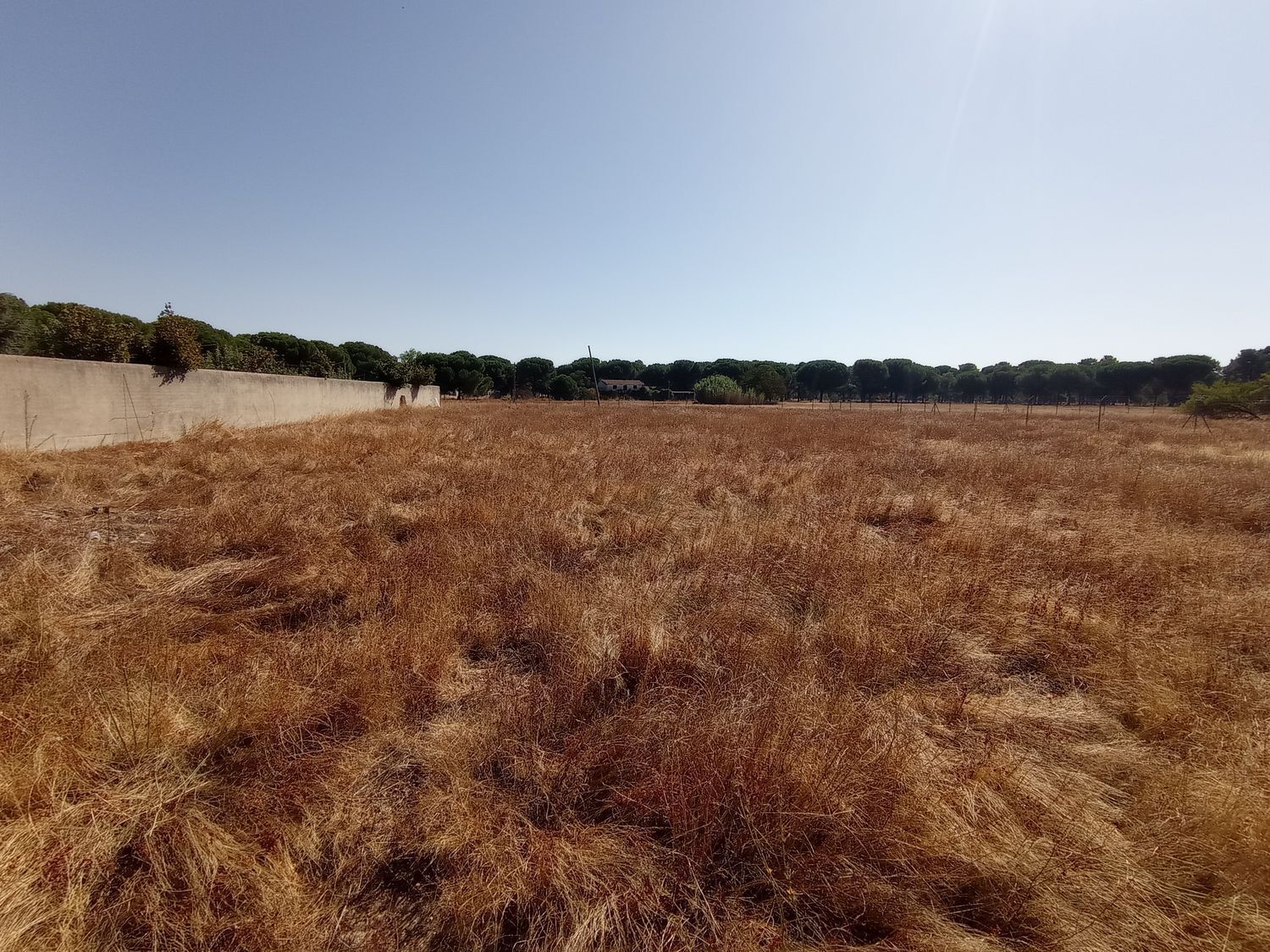 Fincas y solares-Venta-Laguna de Duero-1846038-Foto-15