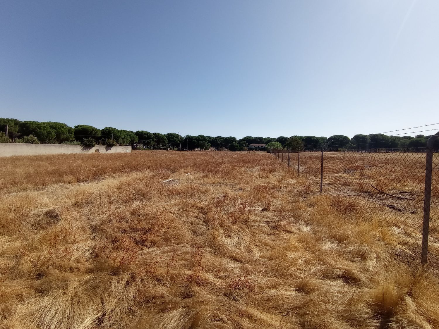 Fincas y solares-Venta-Laguna de Duero-1846038-Foto-17
