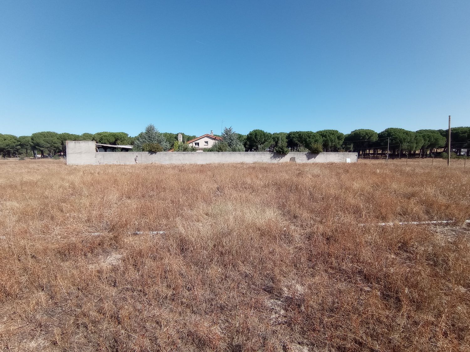 Fincas y solares-Venta-Laguna de Duero-1846038-Foto-18