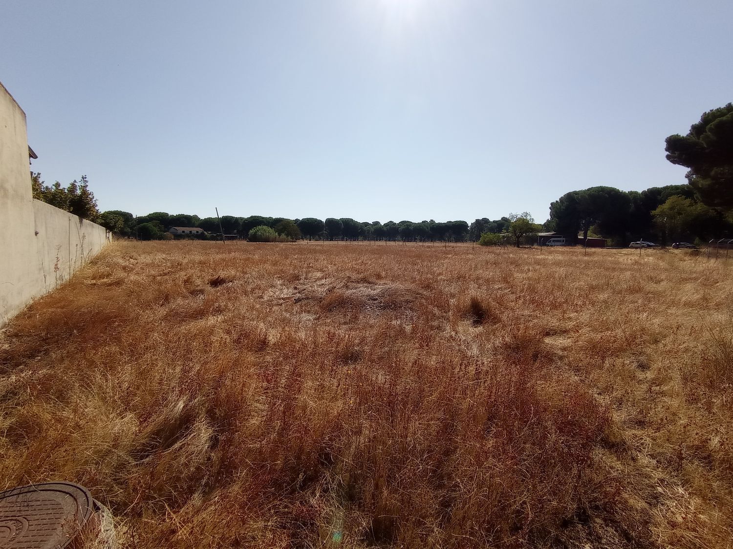 Fincas y solares-Venta-Laguna de Duero-1846038-Foto-13