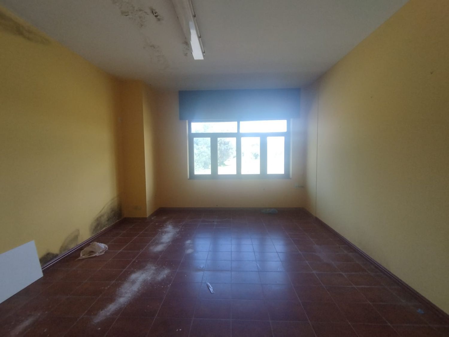 Casas o chalets-Venta-ValdoviÃ±o-1866544-Foto-4