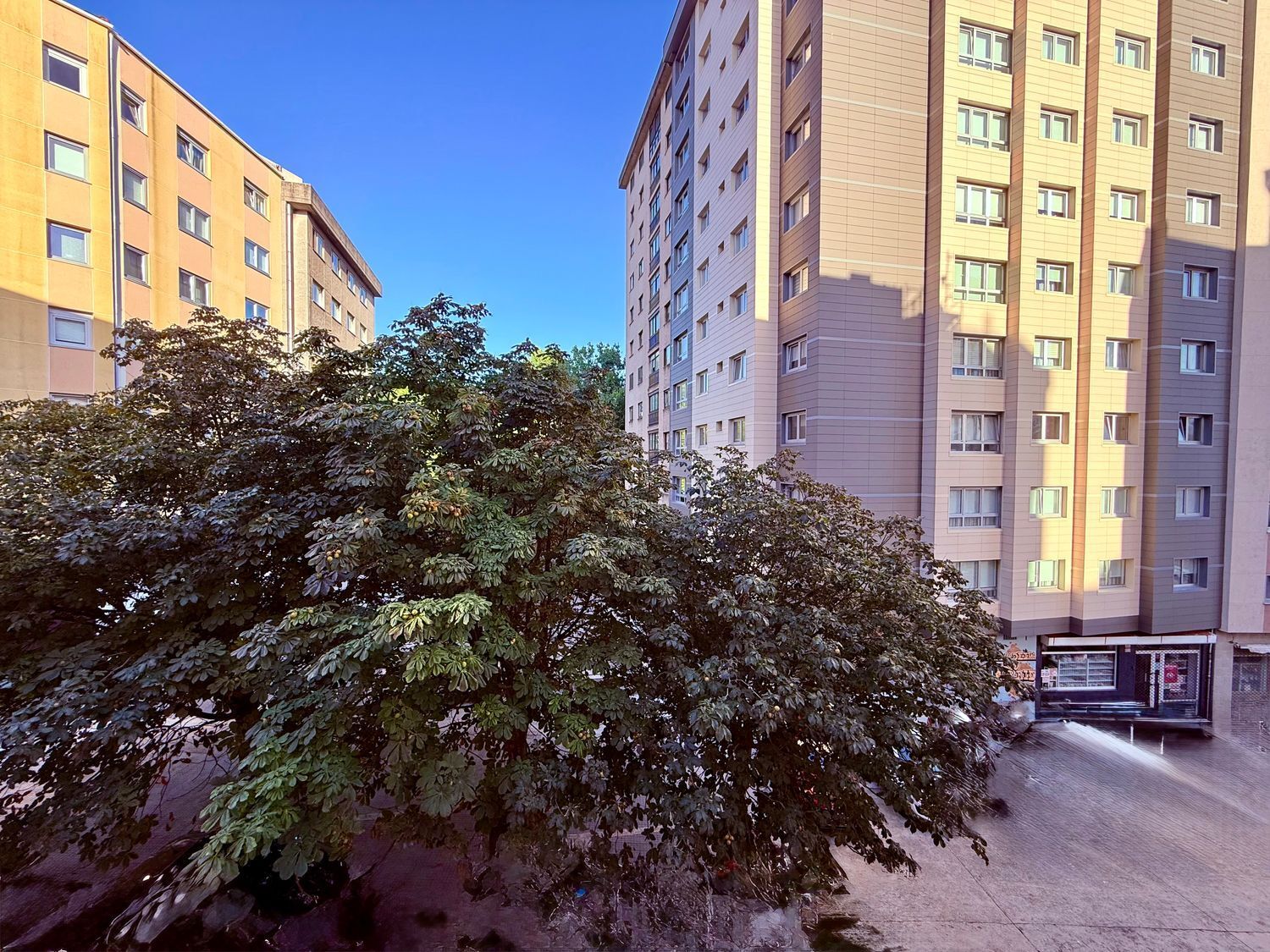 Pisos-Venta-A Coruña-1835672-Foto-65