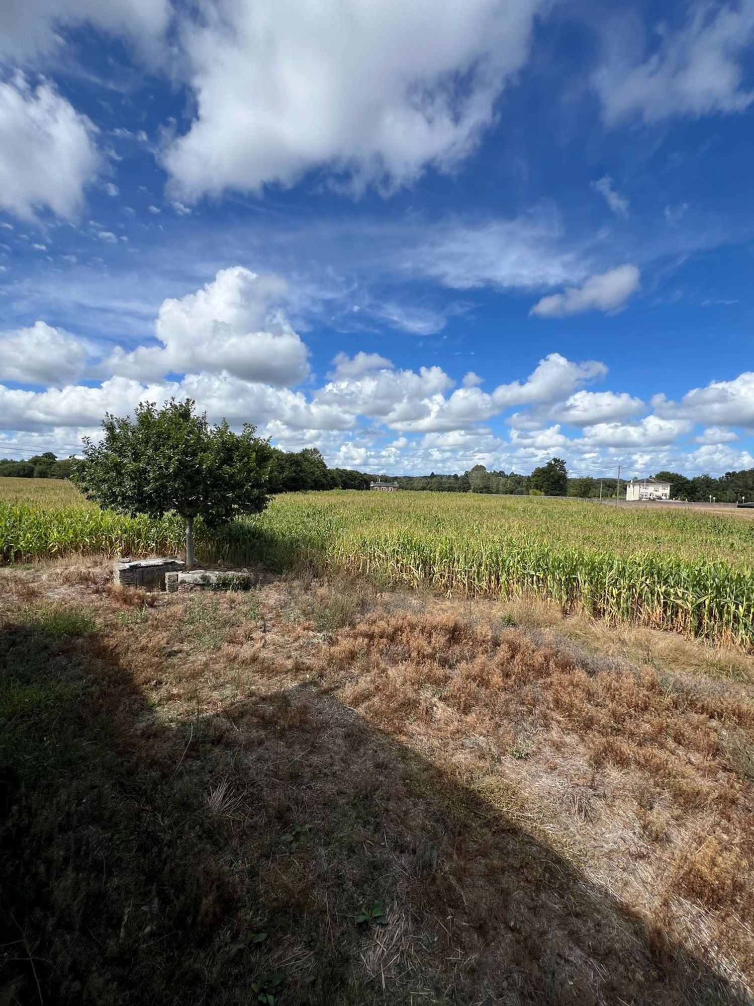 Casas o chalets-Venta-Cospeito-1845999-Foto-10