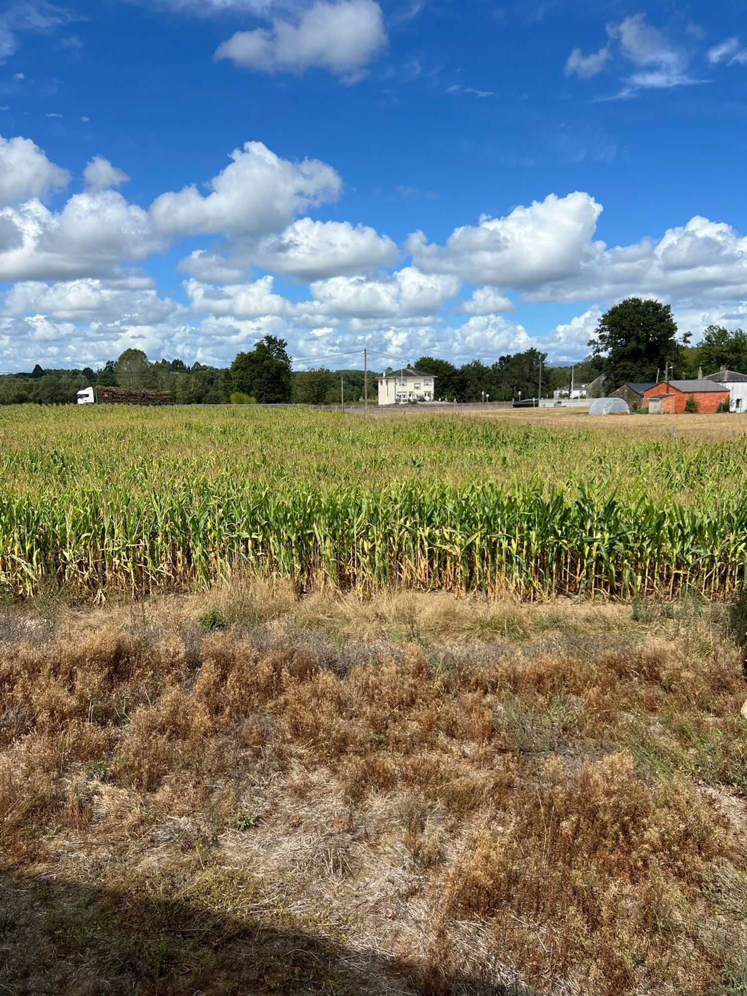 Casas o chalets-Venta-Cospeito-1845999-Foto-11