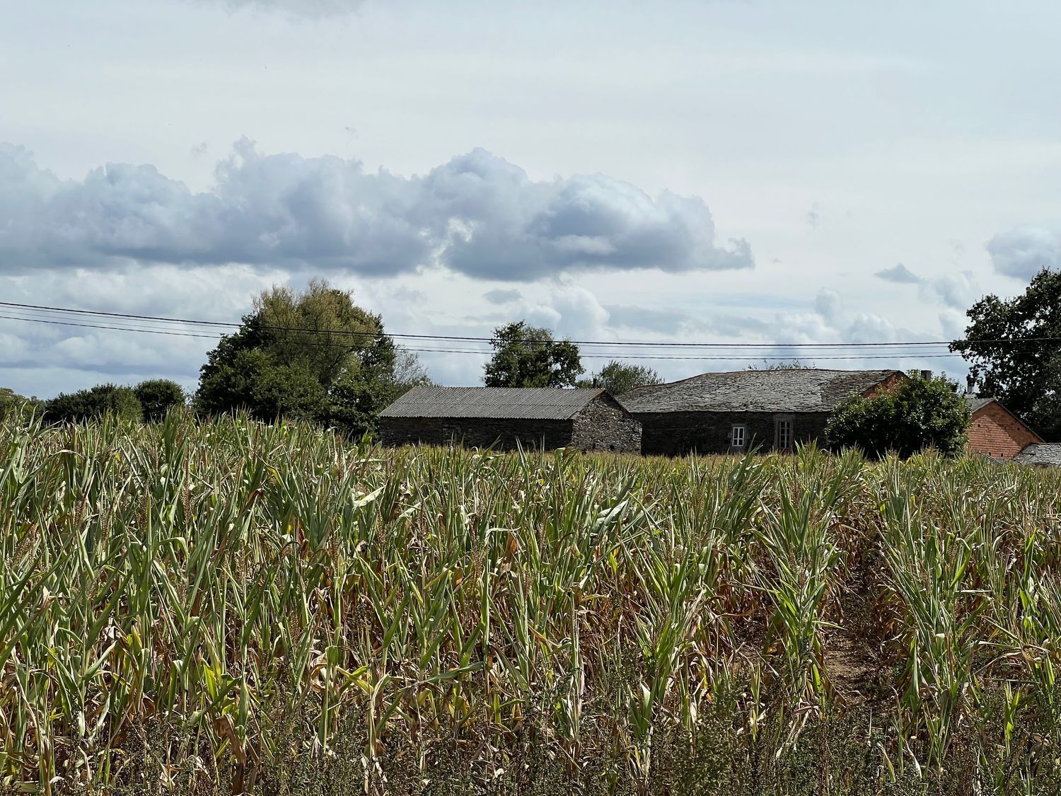 Casas o chalets-Venta-Cospeito-1845999-Foto-6