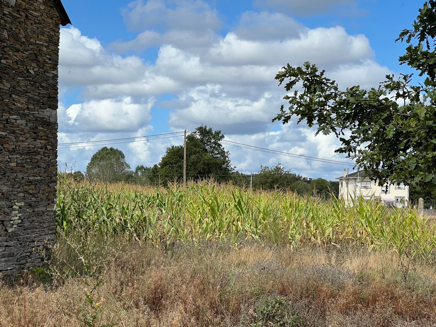 Casas o chalets-Venta-Cospeito-1845999-Foto-16