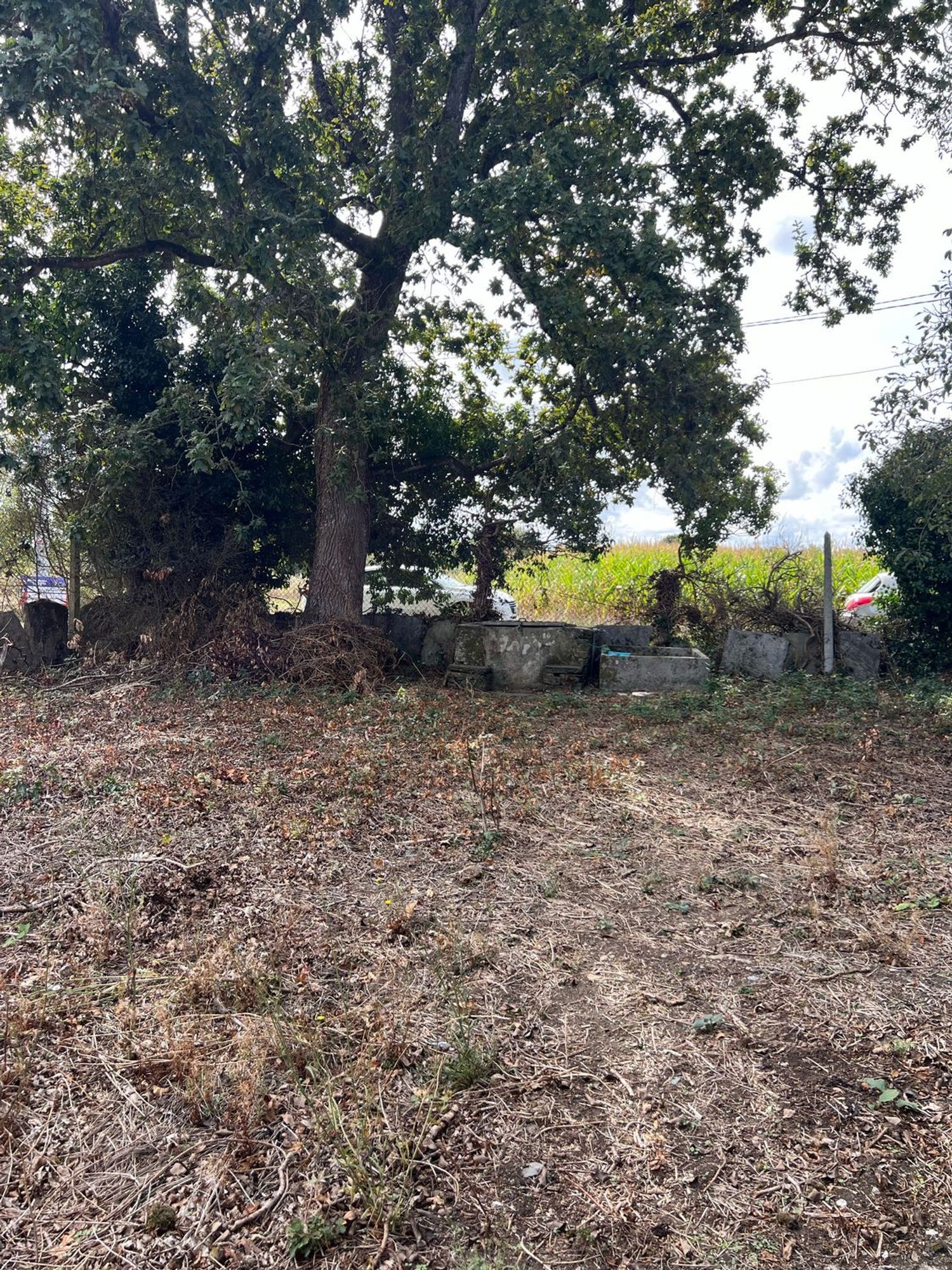 Casas o chalets-Venta-Cospeito-1845999-Foto-12