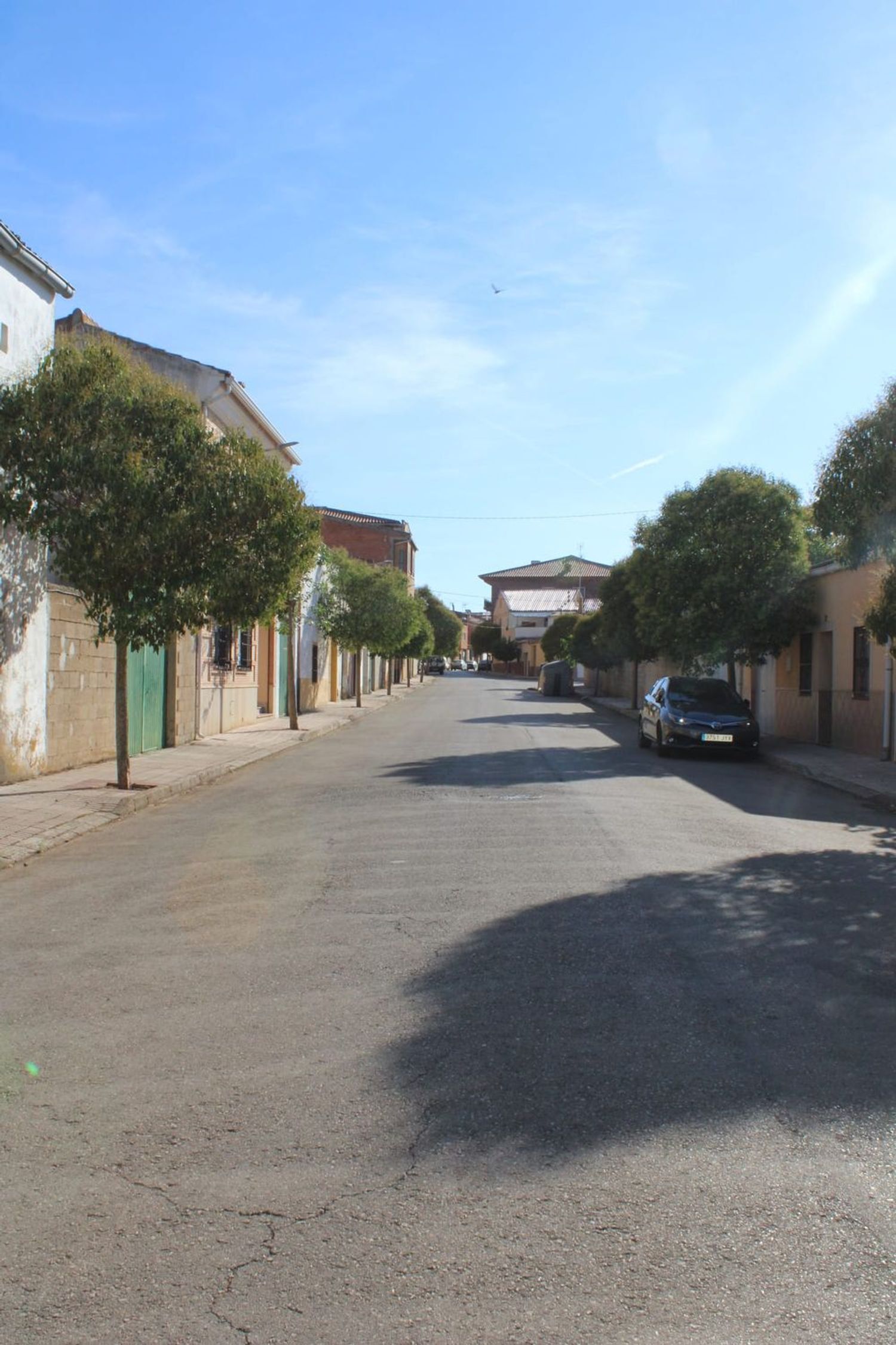 Casas o chalets-Venta-Villanueva de la Fuente-1866550-Foto-88